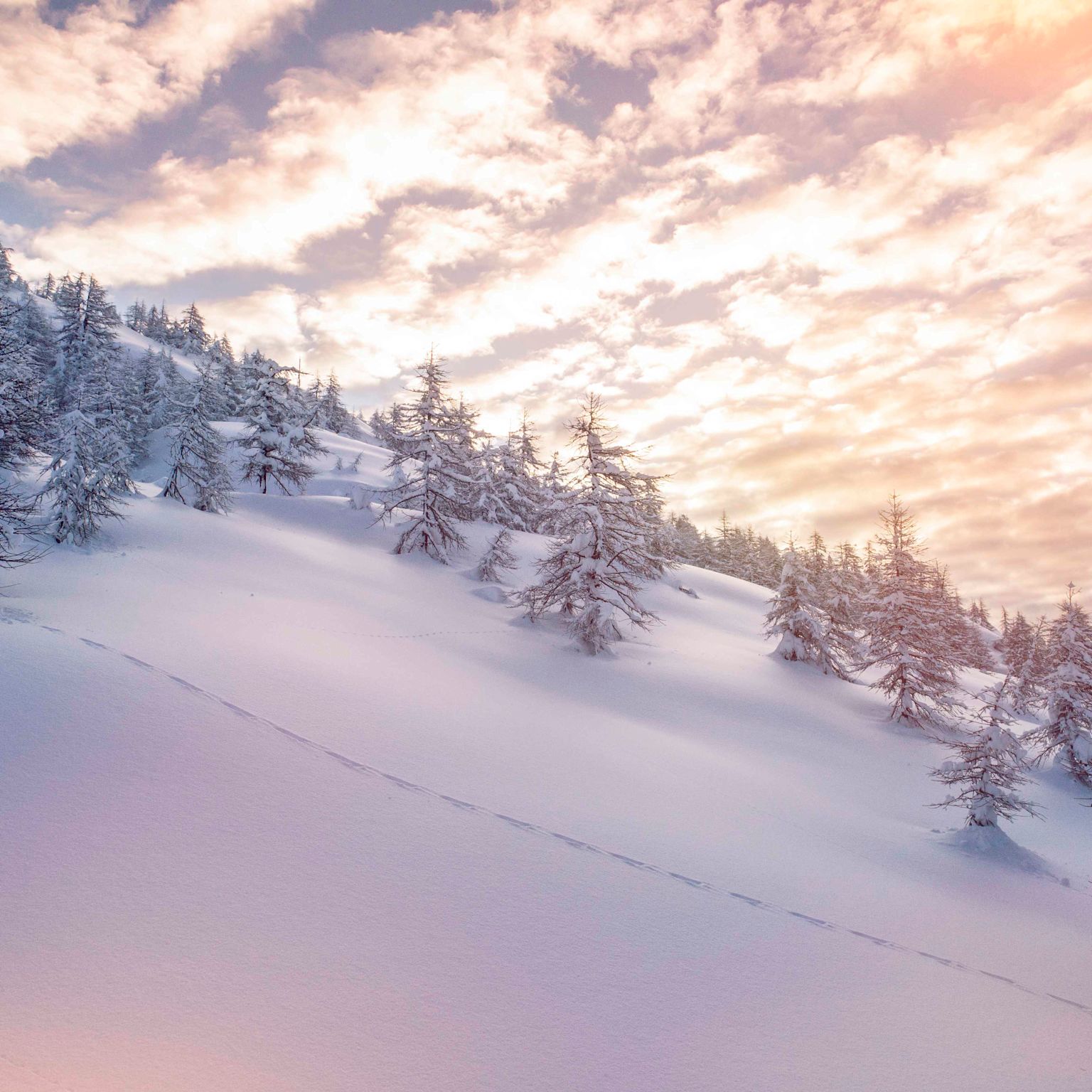 Winter, Schnee, Landschaft, Simplon, Wallis, Schweiz