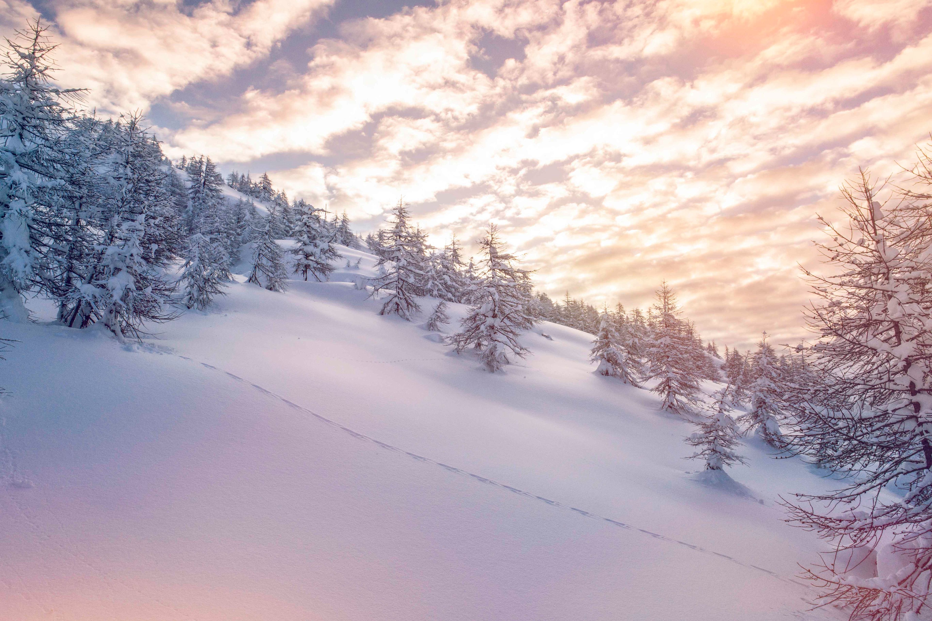 Winter, Schnee, Landschaft, Simplon, Wallis, Schweiz