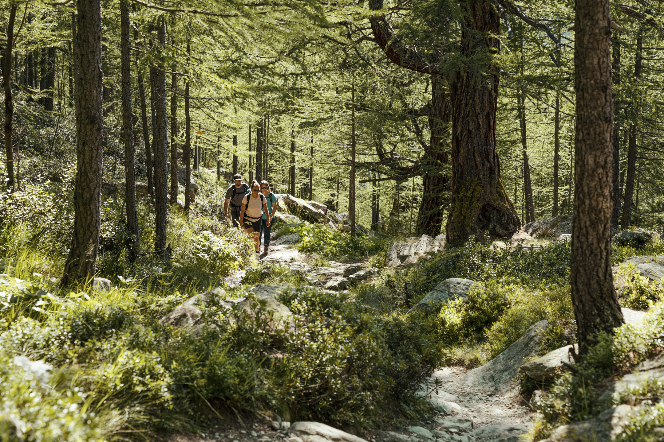 Une véritable forêt enchantée digne des contes de fées.