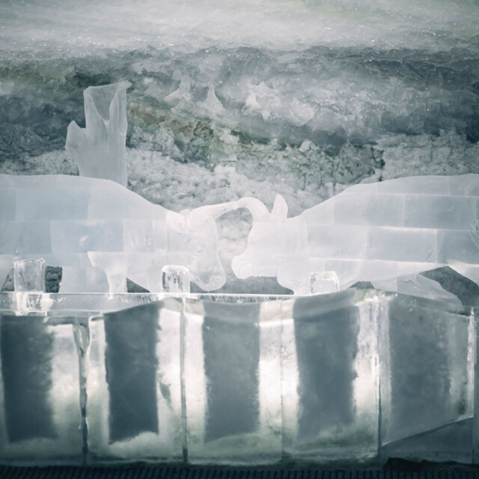 Zwei sich gegenüberstehende Eiskühe im Gletscherpalast von Zermatt