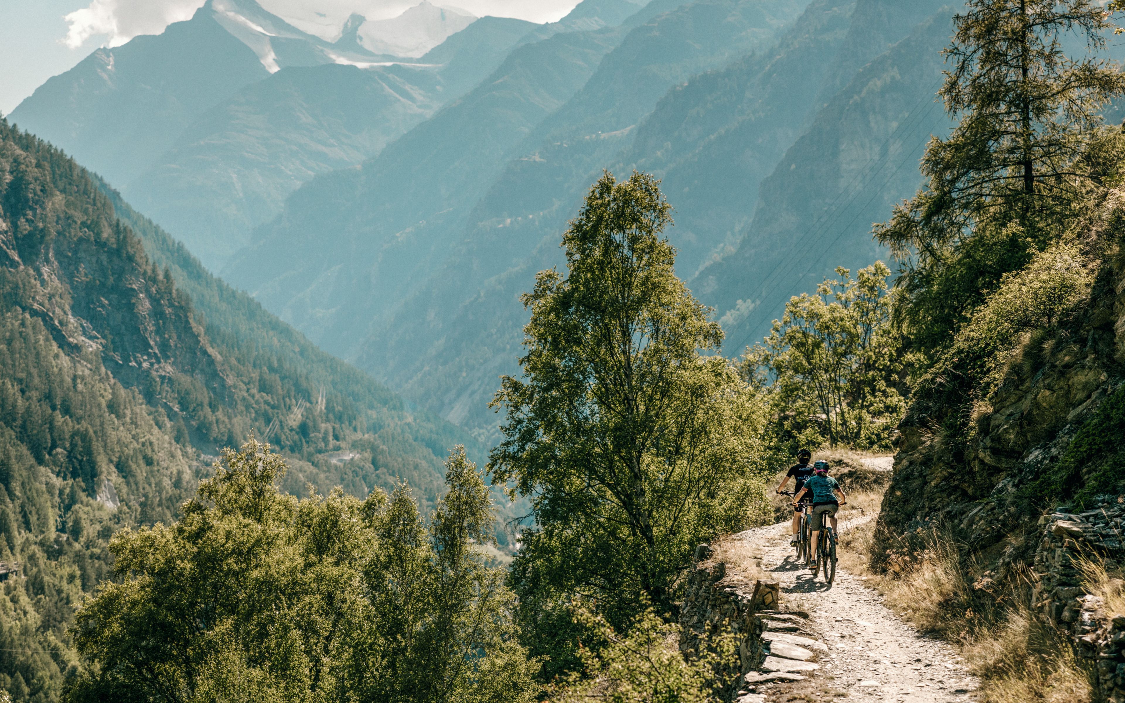 Radfahrer beim Mountainbiken in den Bergen auf einem markierten Weg. Wallis, Schweiz.