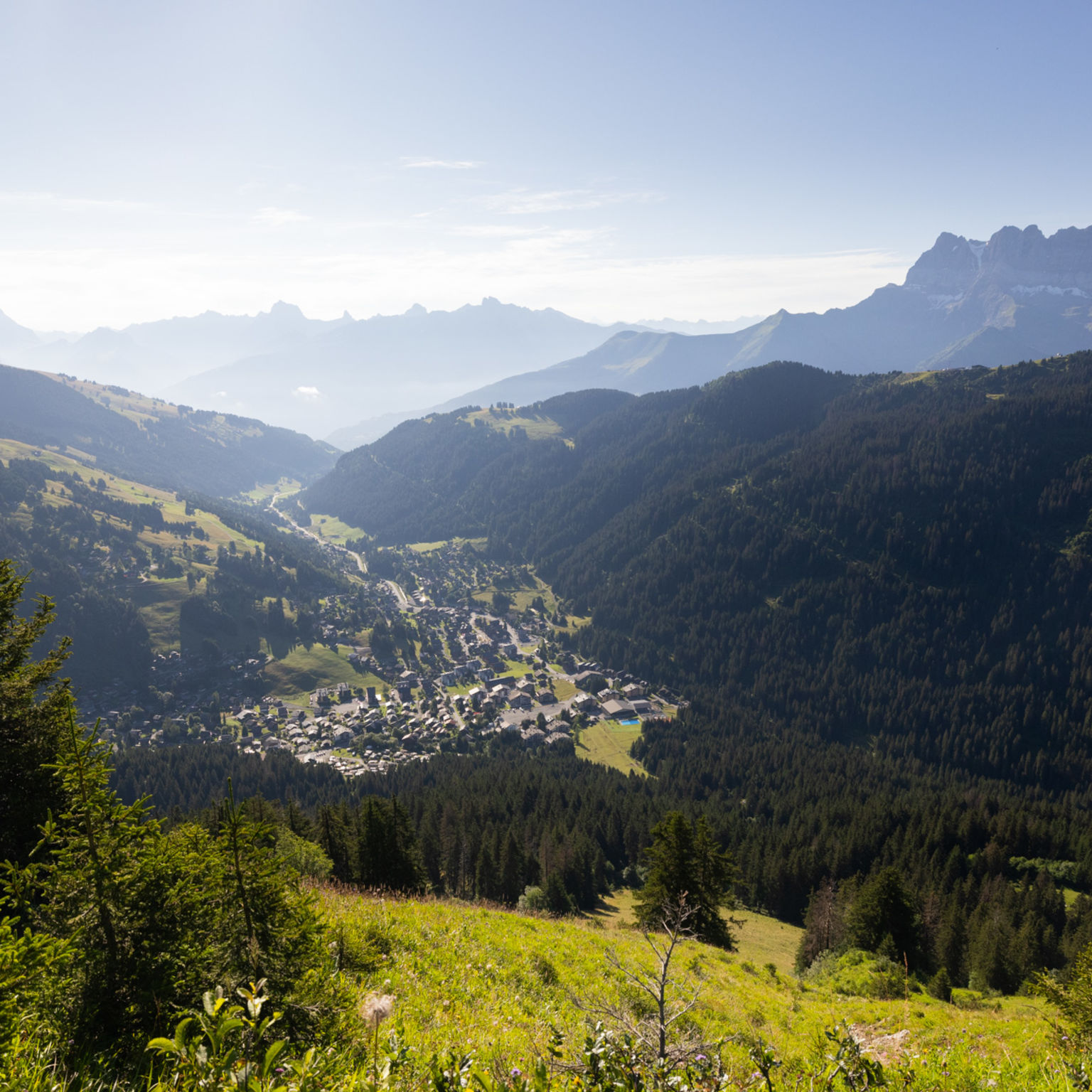Morgins