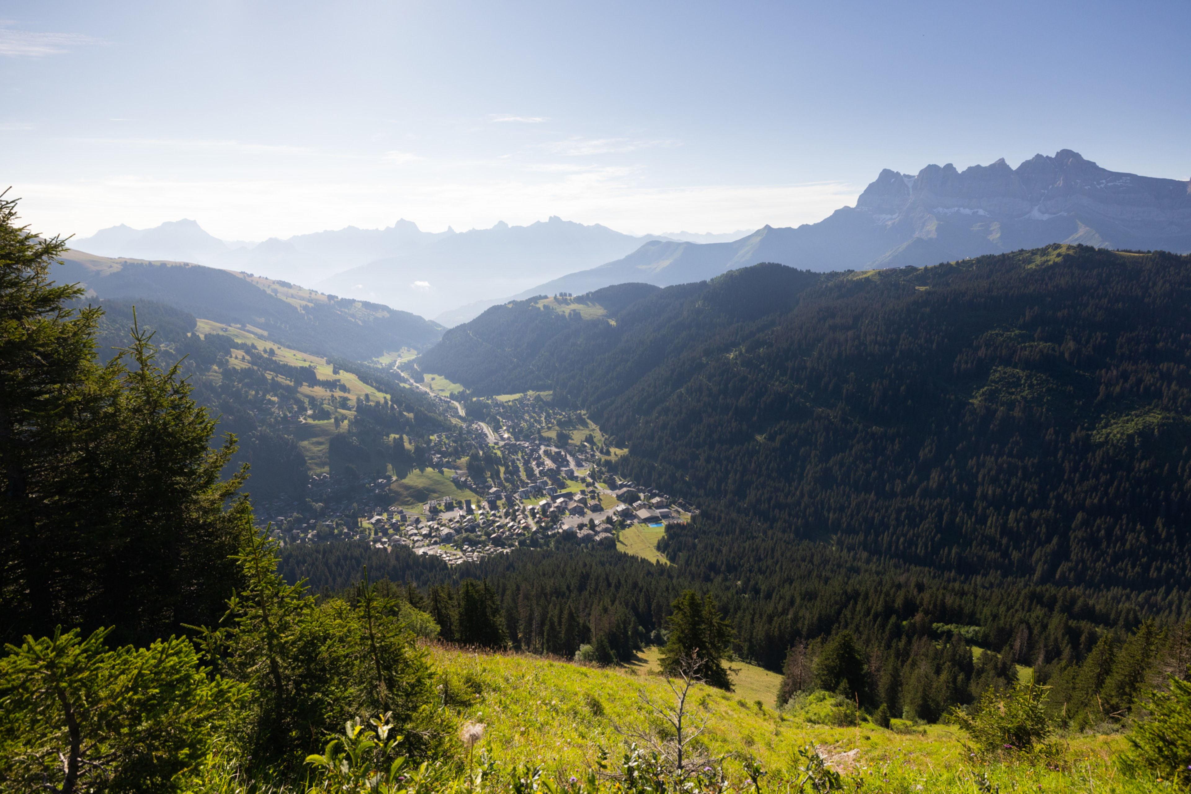 Morgins