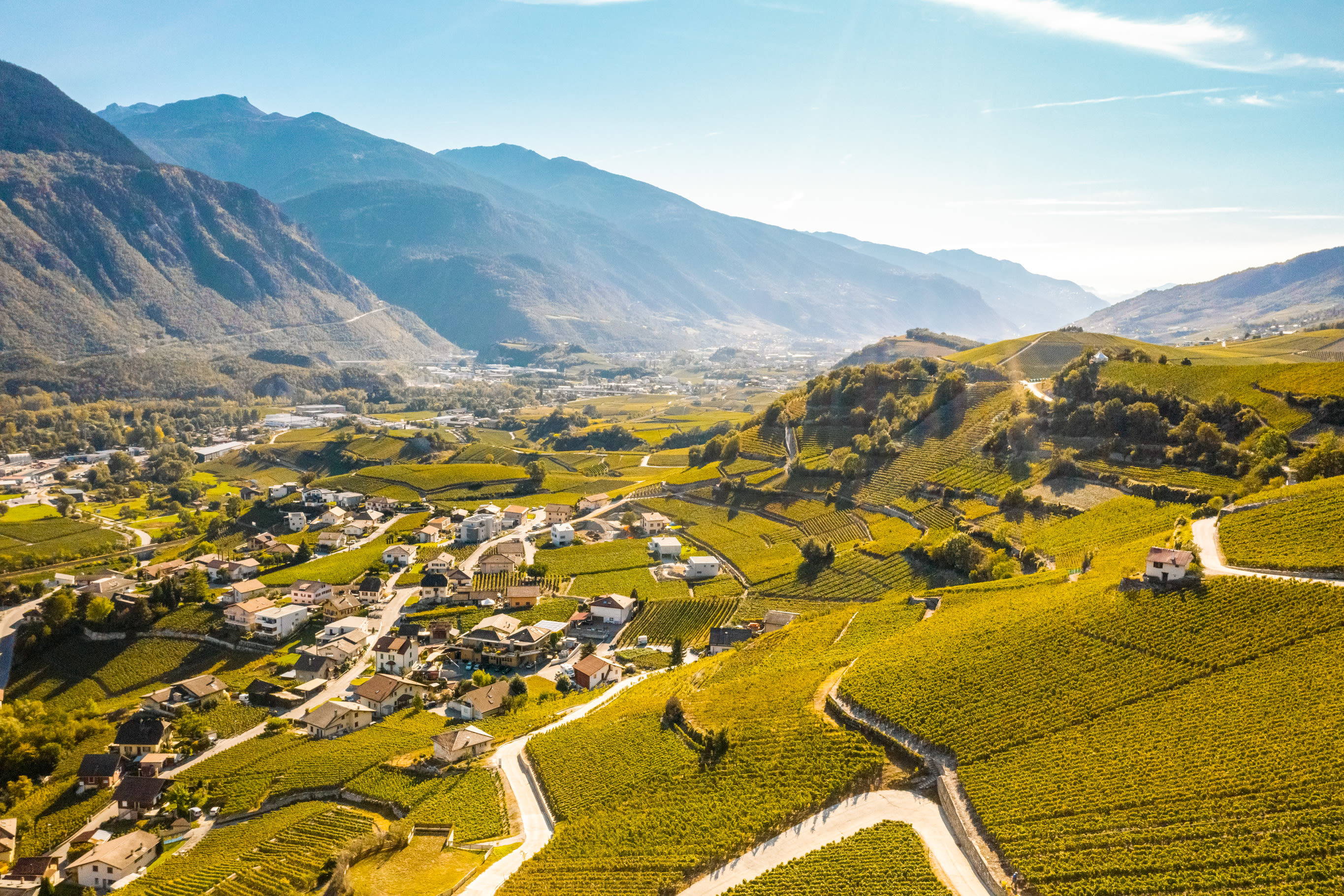 vignoble en terrasse, salgesch, Valais, Suisse