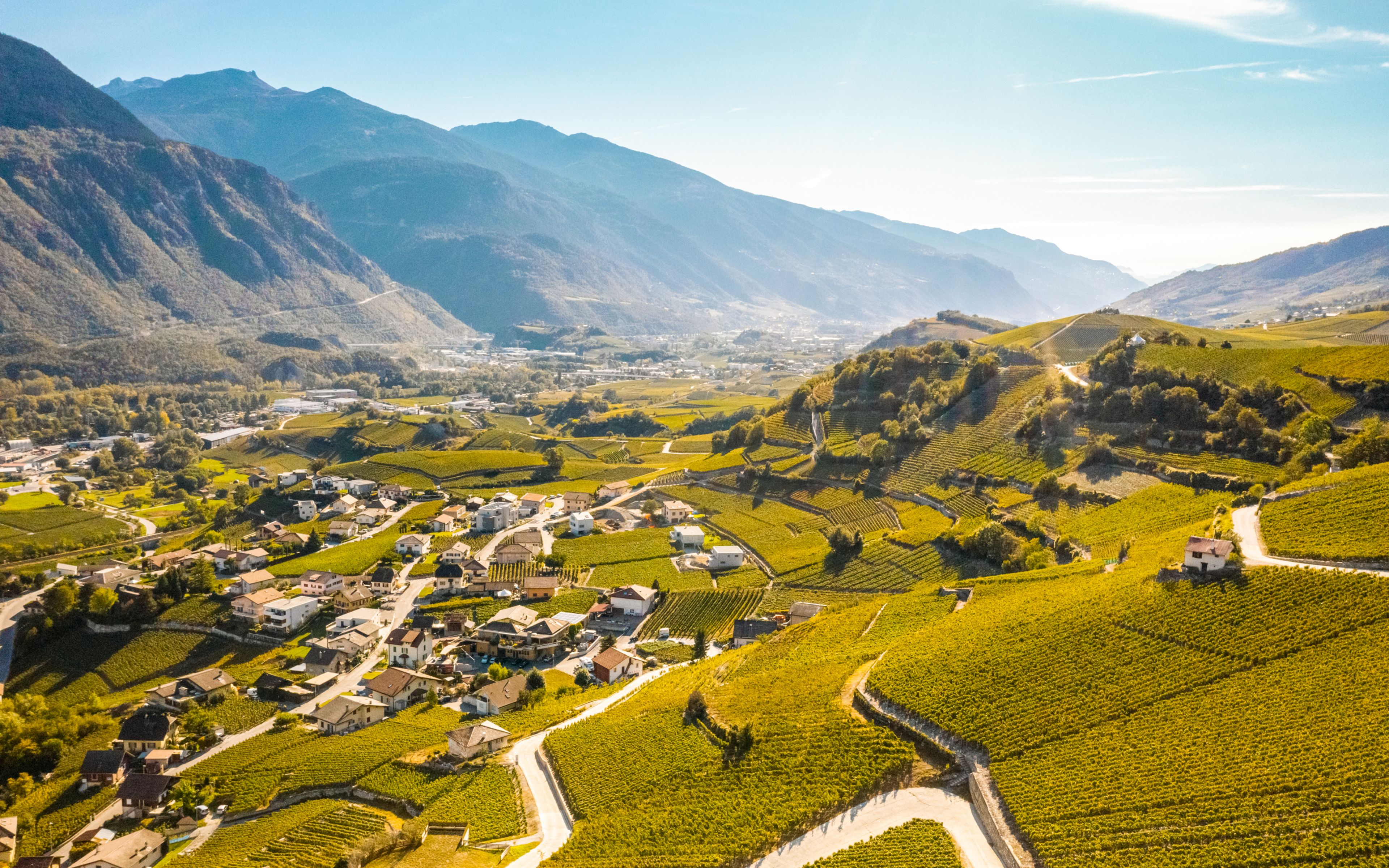 terraced vineyards, Salgesch, Valais, Switzerland