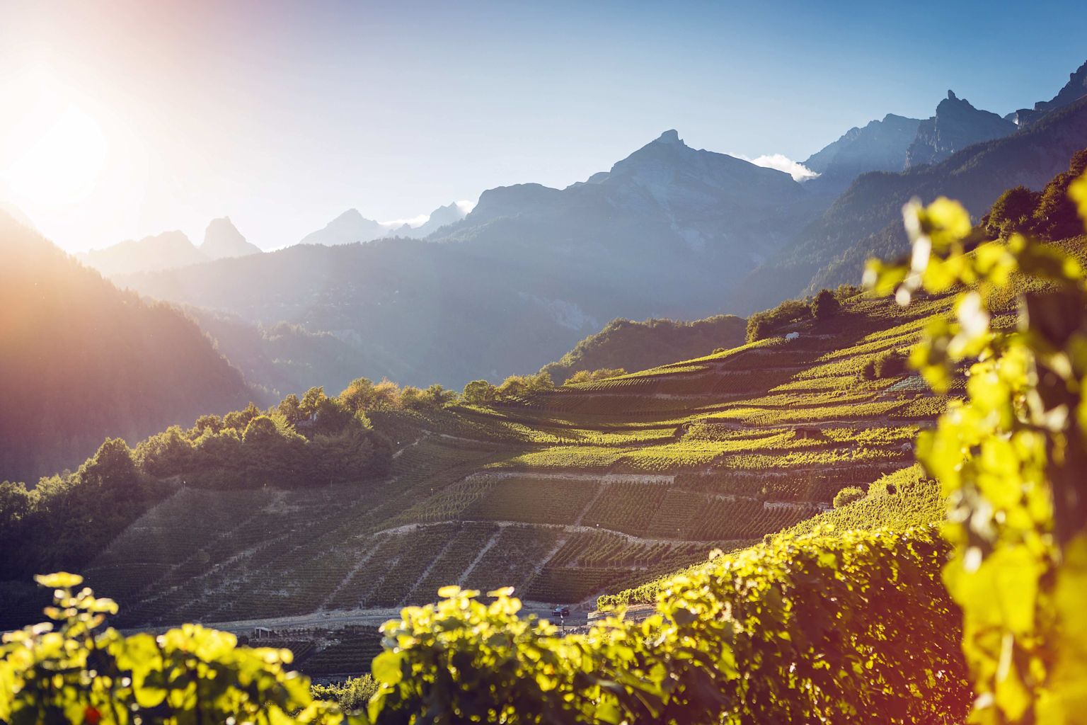 Das Wallis versetzt seine Berge ins Herzen dieses Festivals Winzerfest