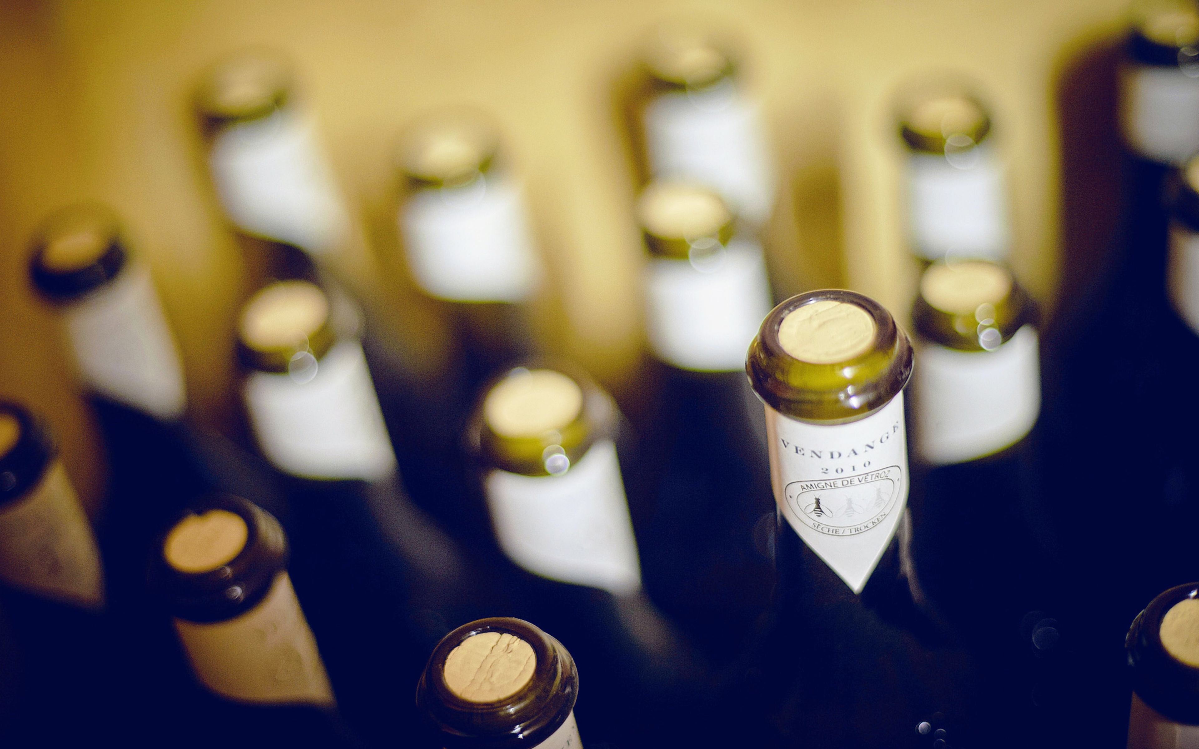 Bouteilles d'Amigne de la Cave Vieux-Moulin à Vétroz, Valais