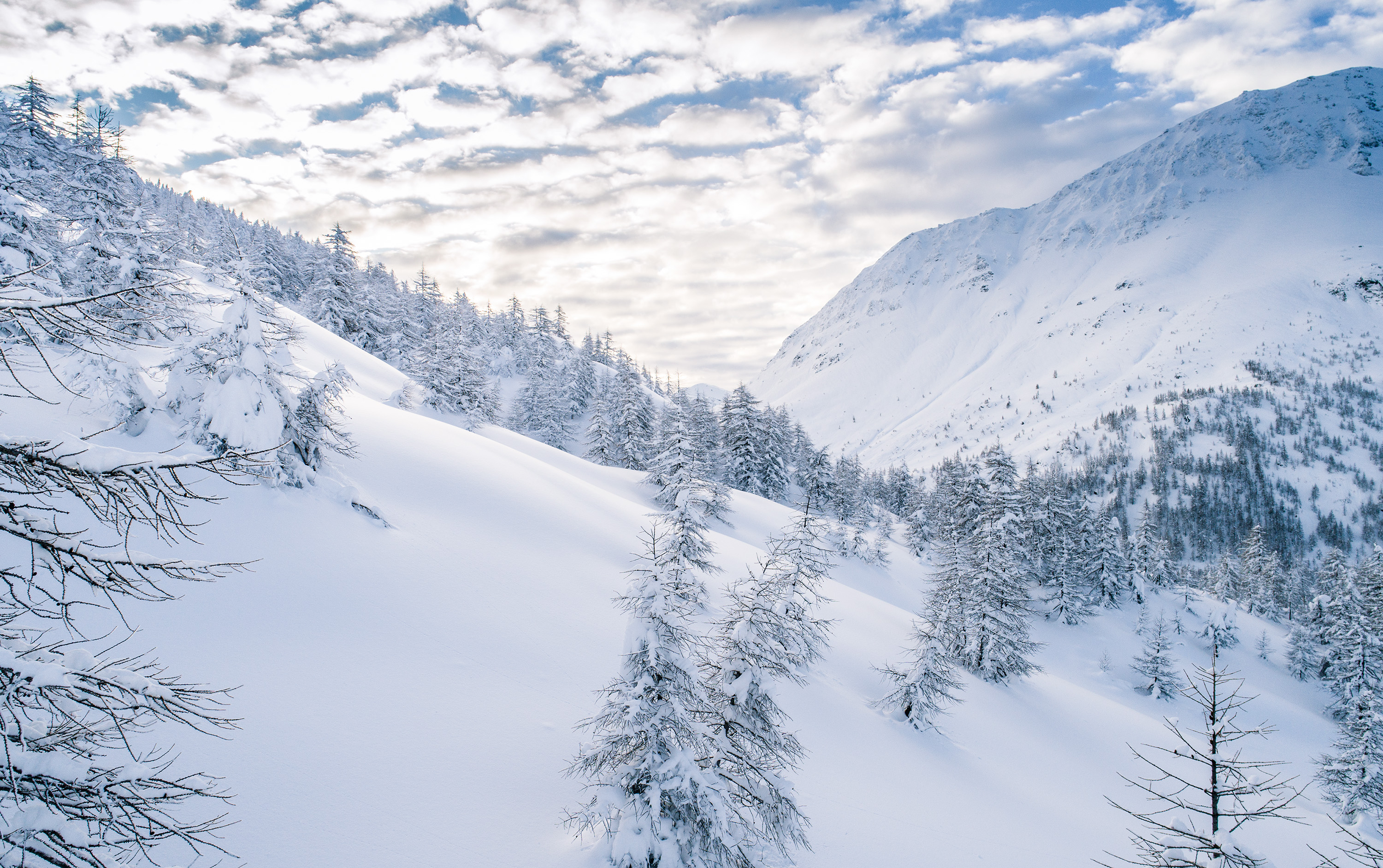 Verschneite Berglandschaft am Simplonpass im Wallis mit schneebedeckten Bäumen und blauem Himmel. Winter im Wallis, Schweiz