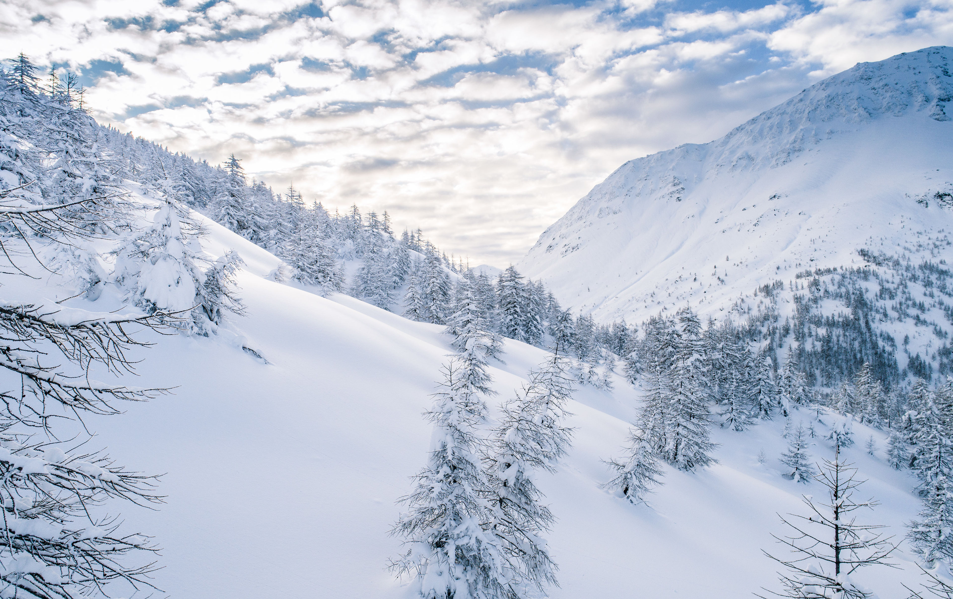 Paysage de montagne enneigé au col du Simplon en Valais avec des arbres recouverts de neige et un ciel bleu. Hiver en Valais, Suisse