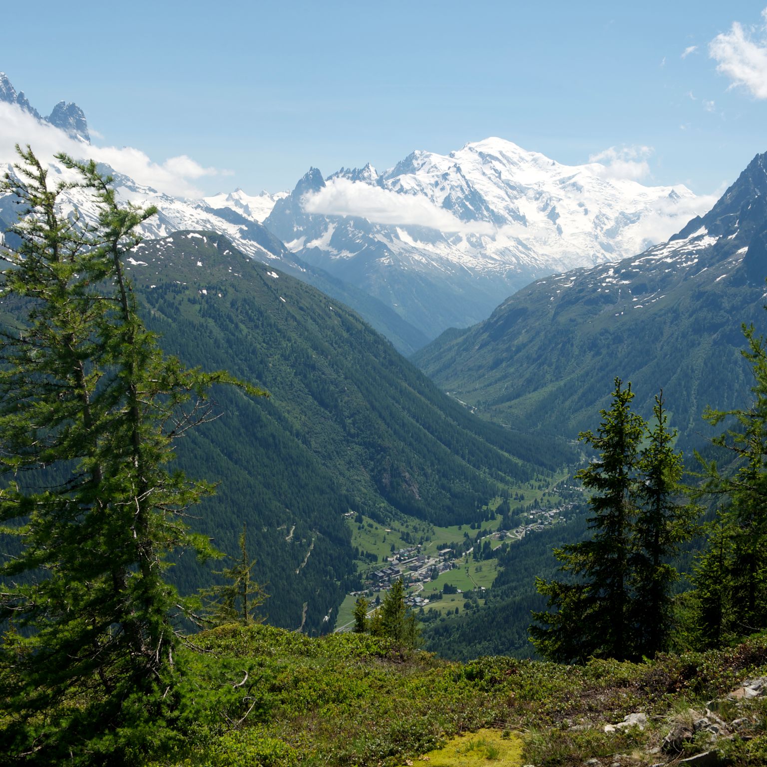 La vue estivale depuis la vallée du Trient.