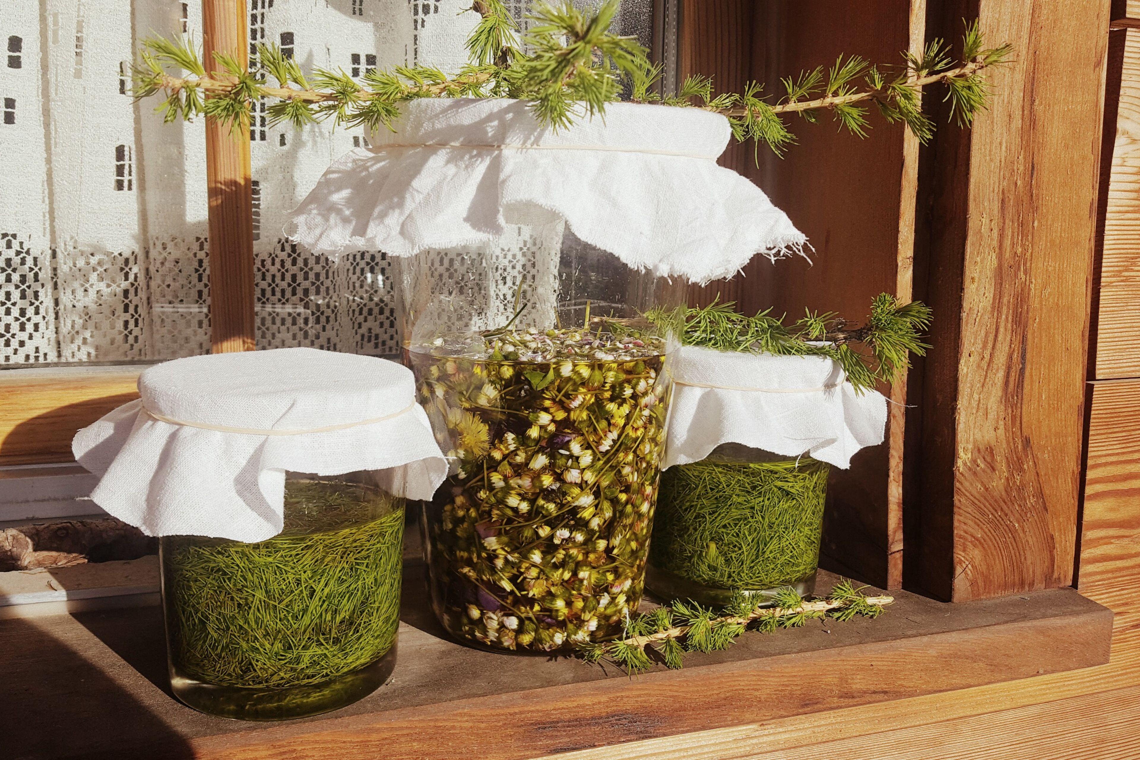 huiles d'arnica de pin sylvestre suisse ou miel de pin sylvestre suisse, Valais, Suisse