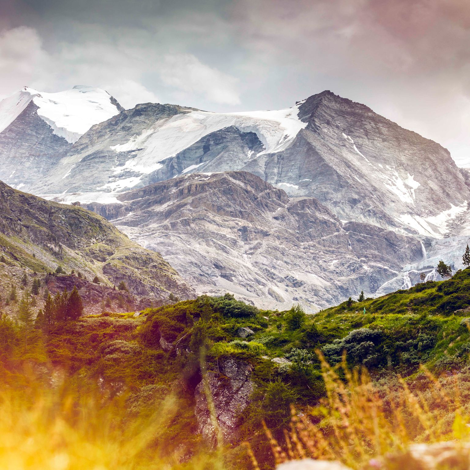 Ausblick auf Bergkette im Turtmanntal mit Bishorn und Pointe Burnaby