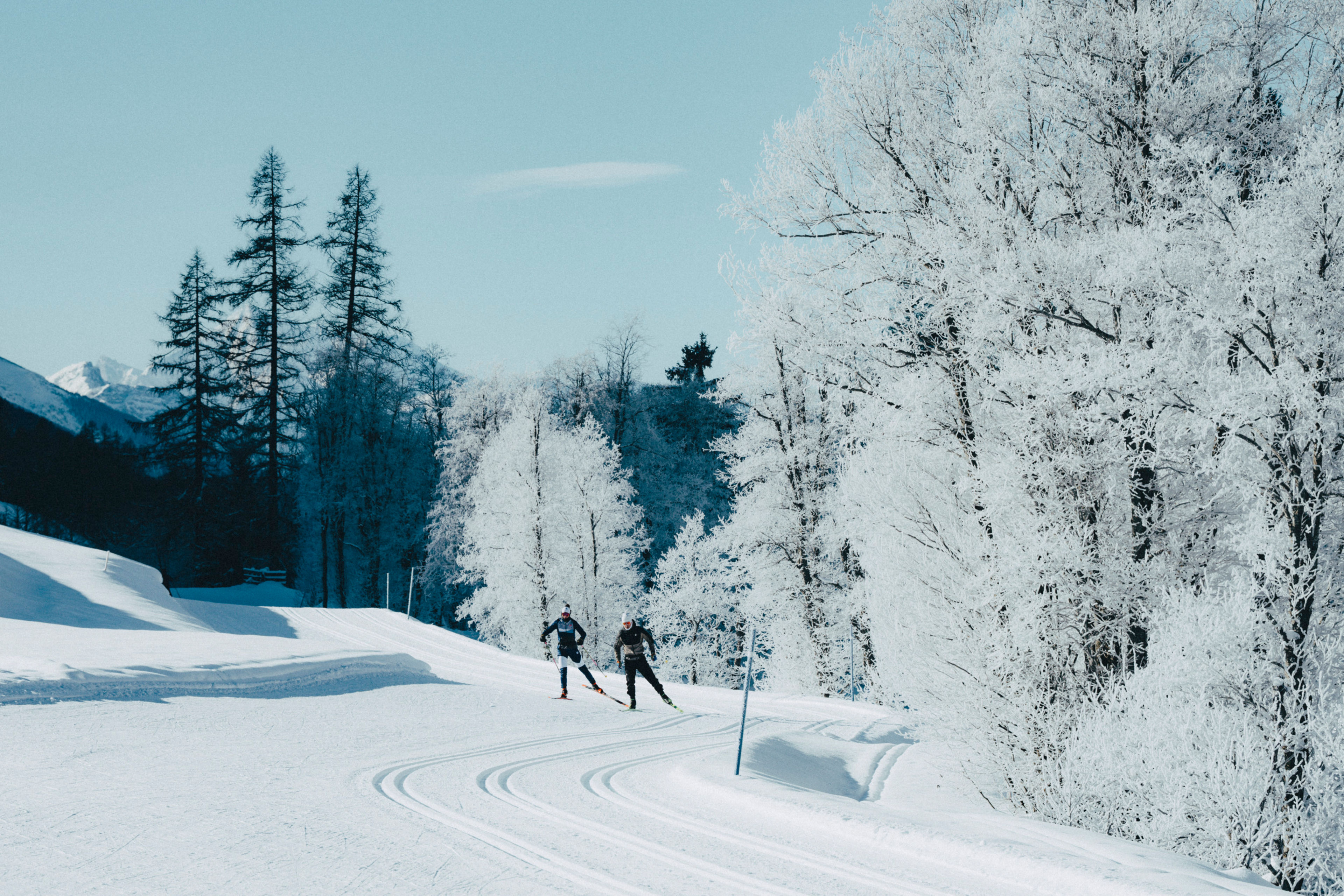 Zwei Langläufer auf perfekt gespurten Loipen in der verschneiten Gommer Winterlandschaft
