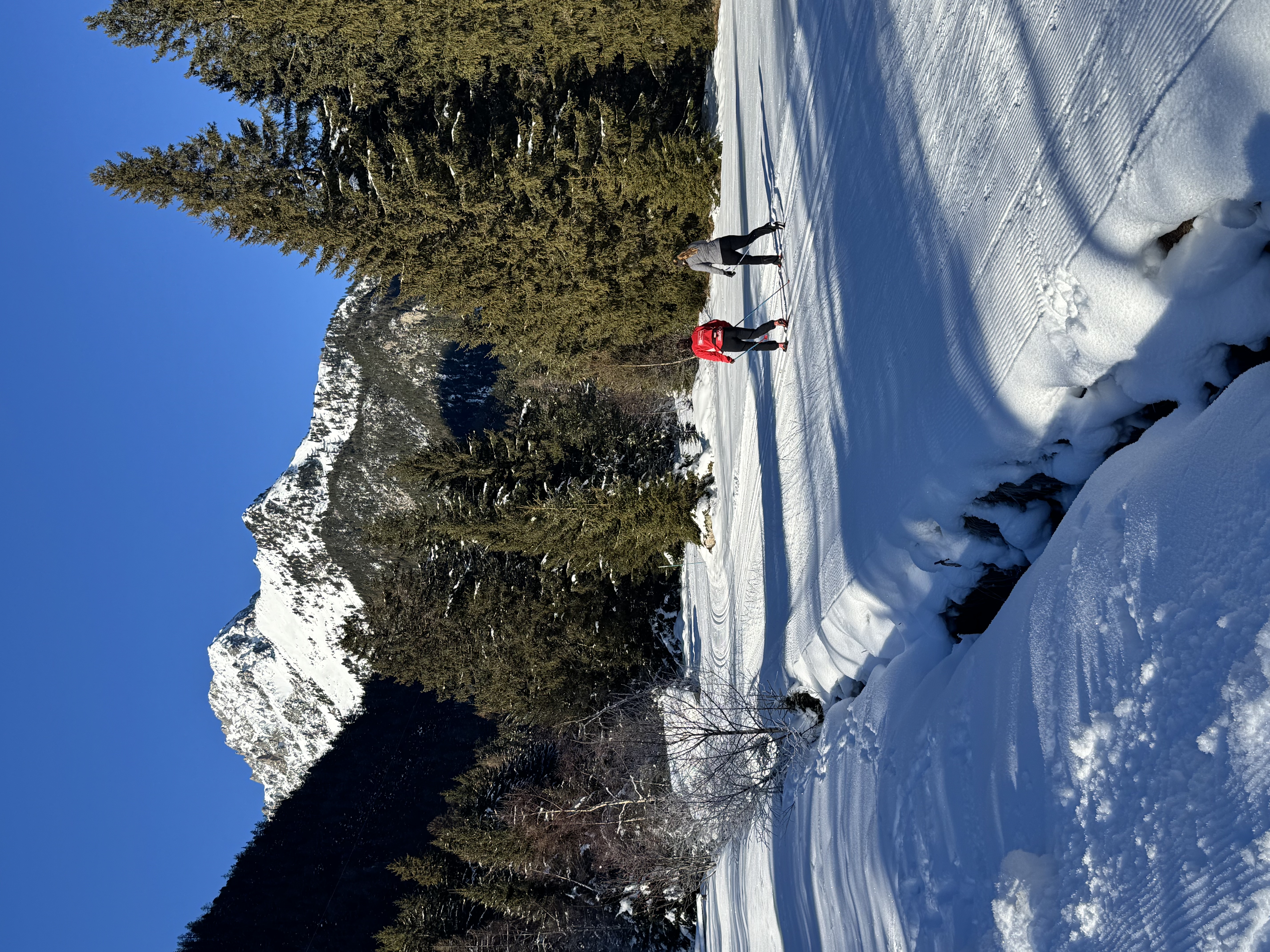 cross-country ski trail landscape in the forest with two skiers 