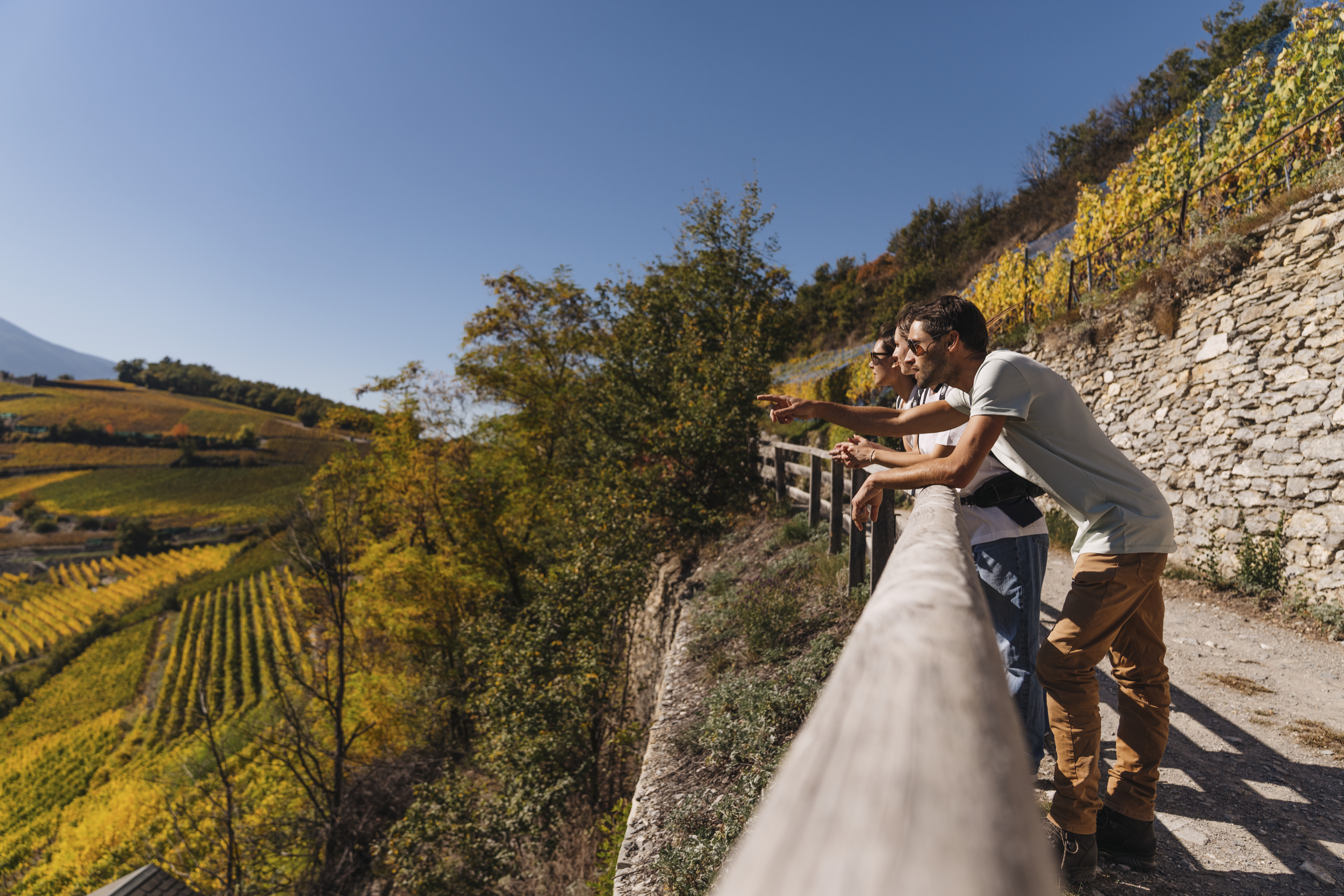 Trois randonneurs admirant des vignobles en terrasses aux couleurs automnales, Valais, Suisse
