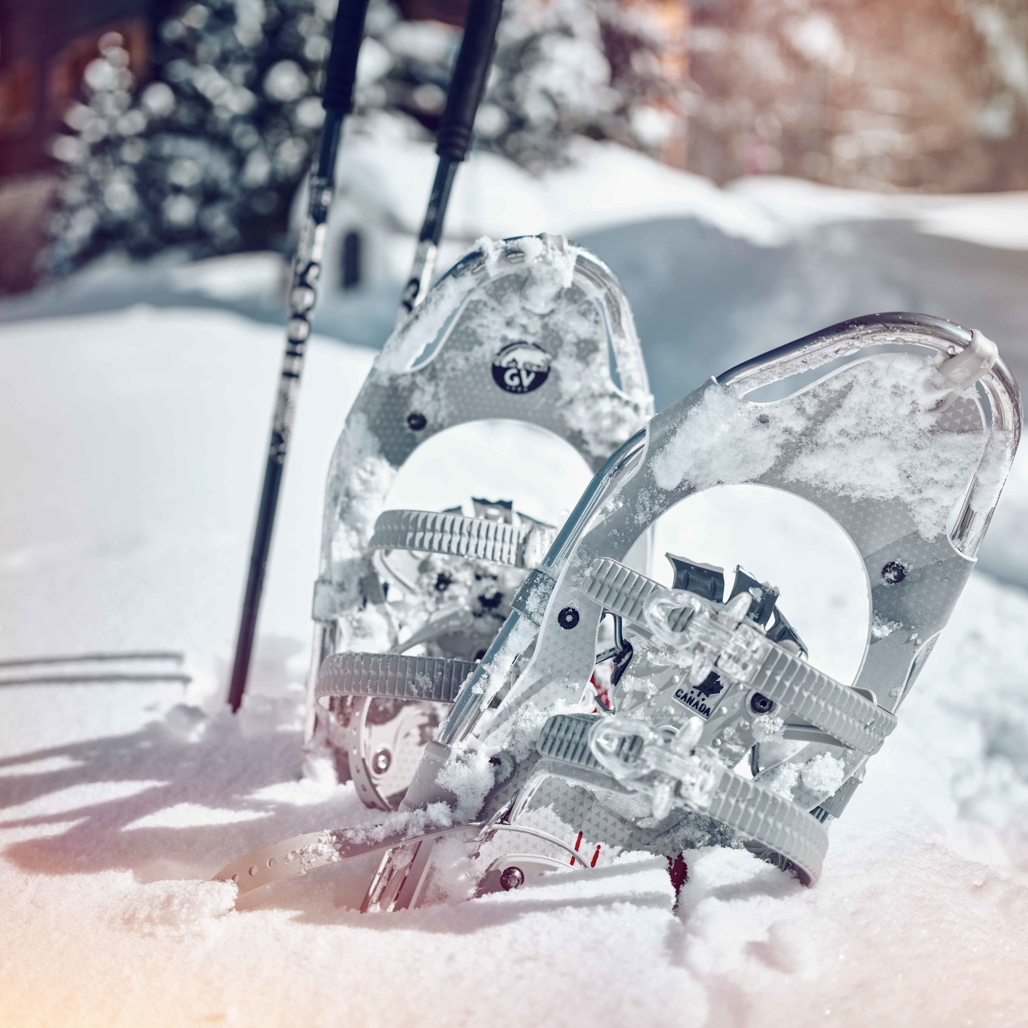 Snowshoes in the snow in Belalp, Valais, Switzerland