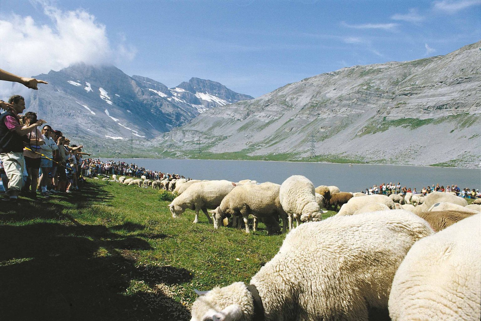 Leukerbad, 58th annual Gemmi shepherd festival, summer event, Valais
