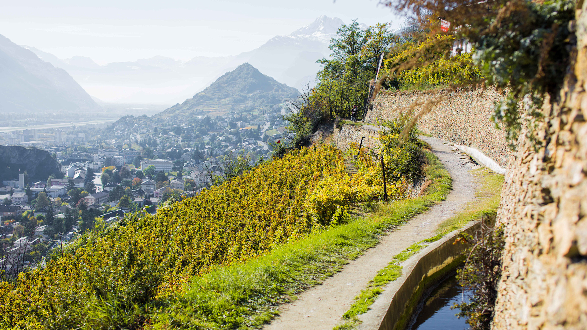 Valais vineyard trail on foot Valais Switzerland