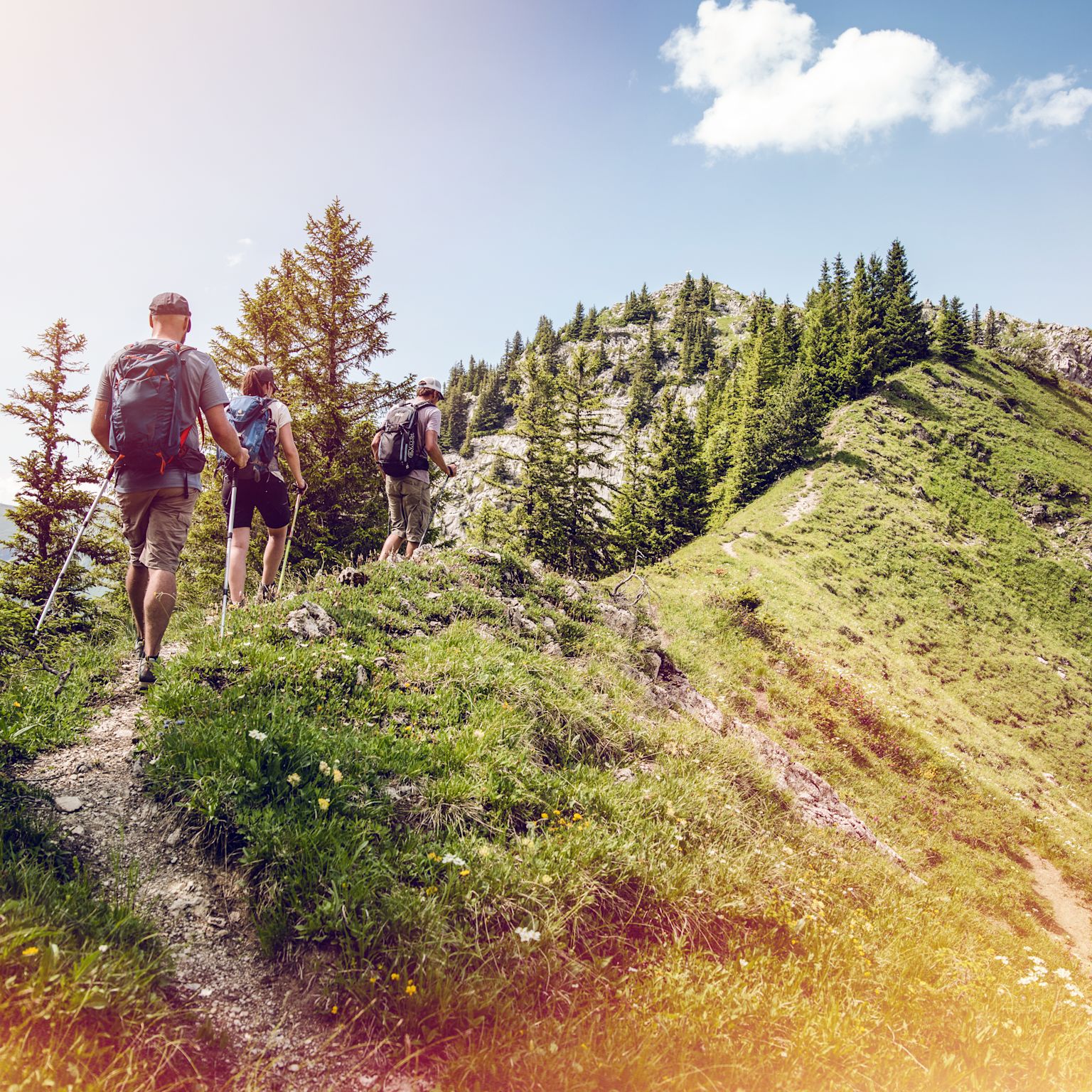 Randonnée à Grammont, été, Valais, Suisse