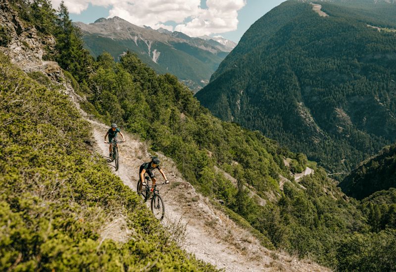 Two mountain bikers in full effort descending a mountain bike trail. Valais, Switzerland.