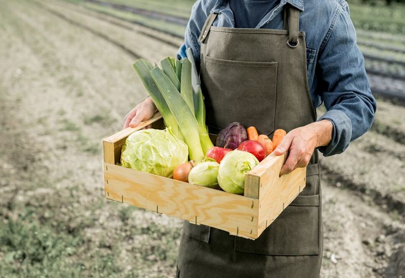 Personne tenant une caisse en bois remplie de légumes frais dans un champ, Valais, Suisse
