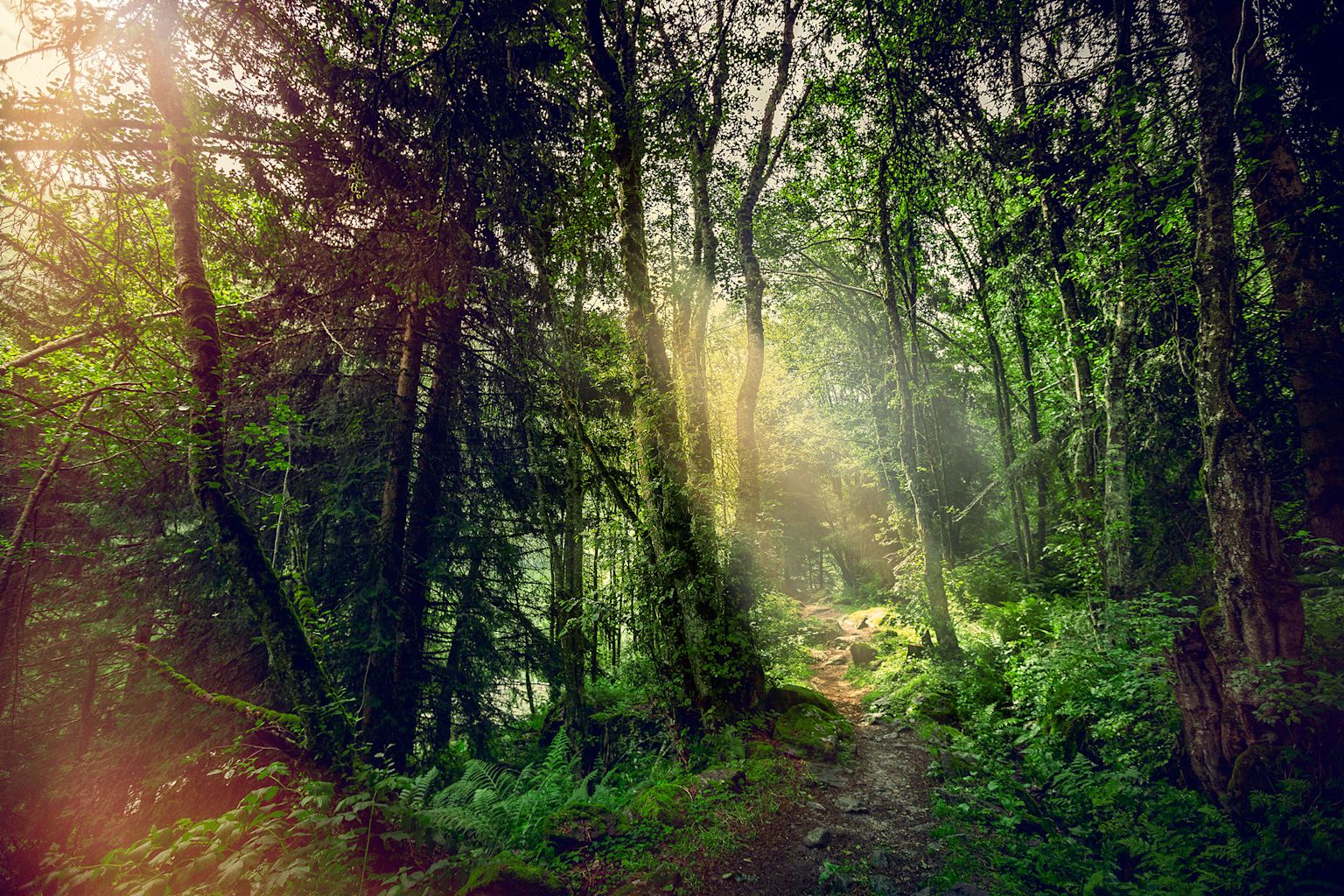 Bisse d'en Bas in Nendaz, Wallis