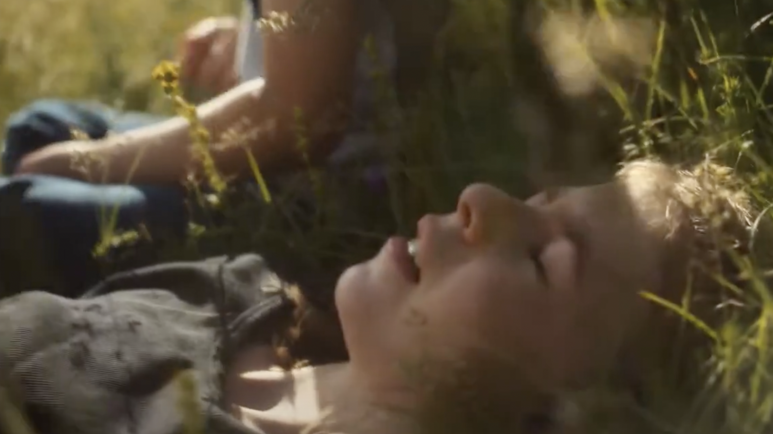 Bei uns findest du ein Stück heile Welt im Kleinen. Leben und Arbeiten Im Wallis, Schweiz