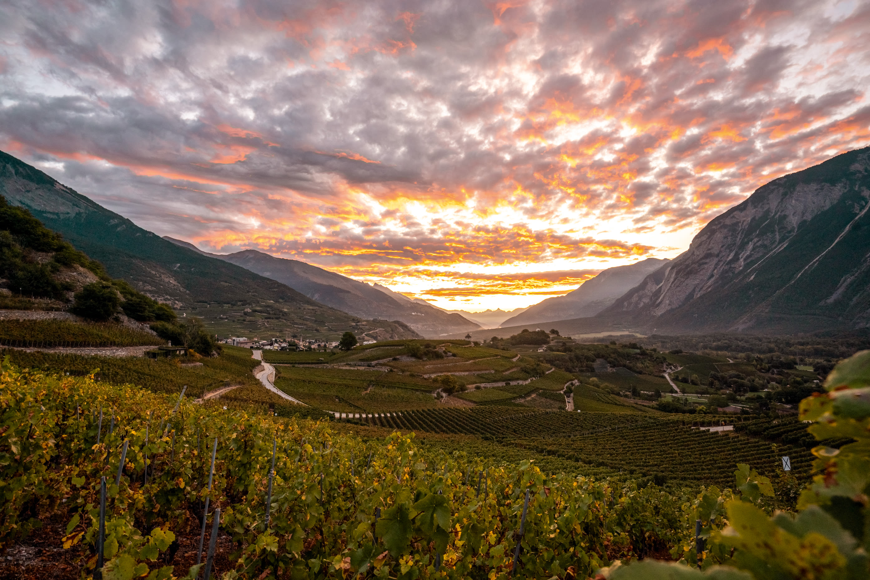 Weinpark der Schweiz Salgesch, Wallis, Schweiz