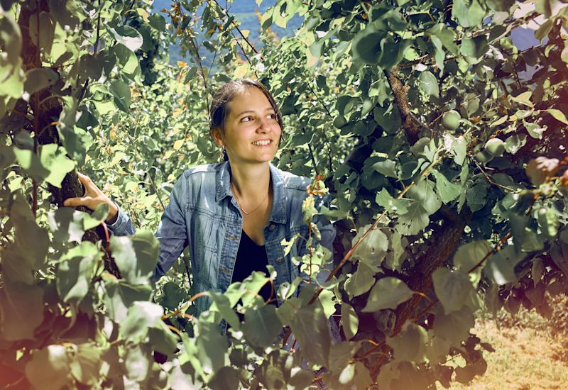 Elodie Comby in her father's apricot trees. Valais, Switzerland.