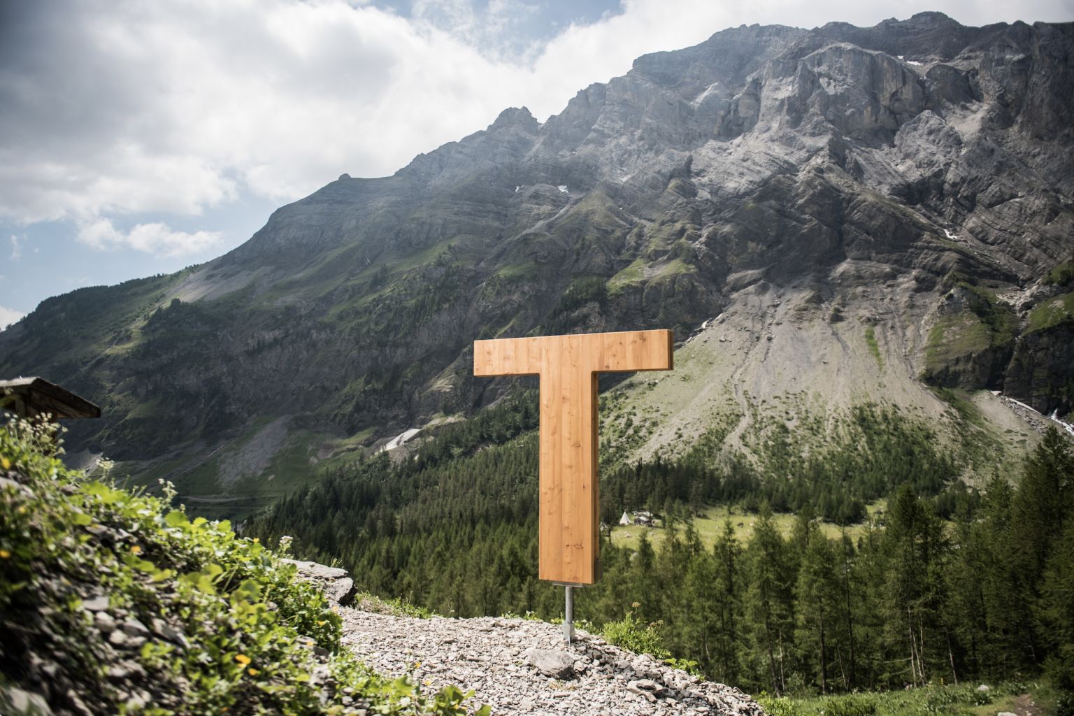 Holz-T-Buchstabe in der Natur in Crans-Montana, Valais Wallis Schweiz