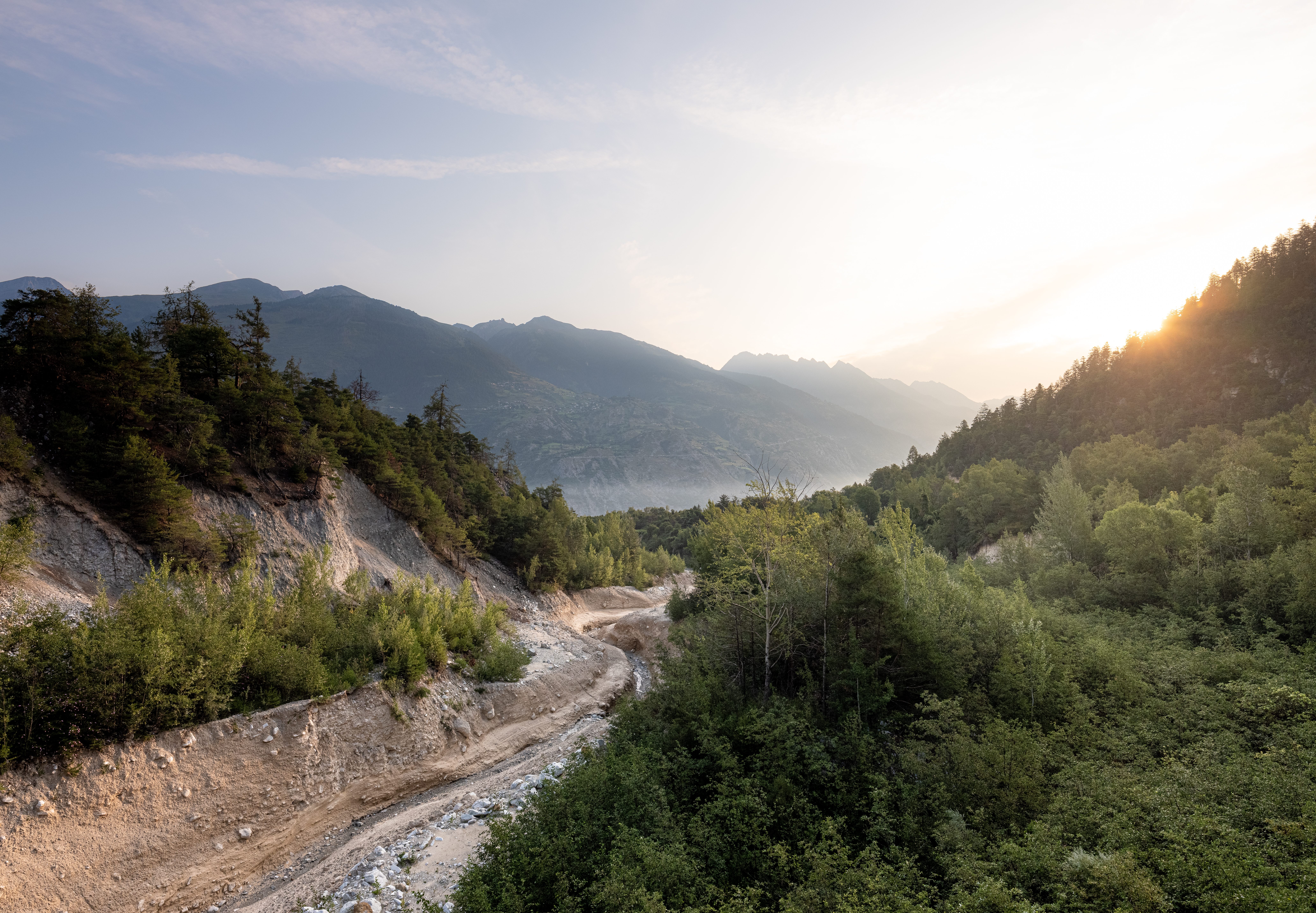 Le Valais est presque un quart couvert de forêts, Valais, Suisse