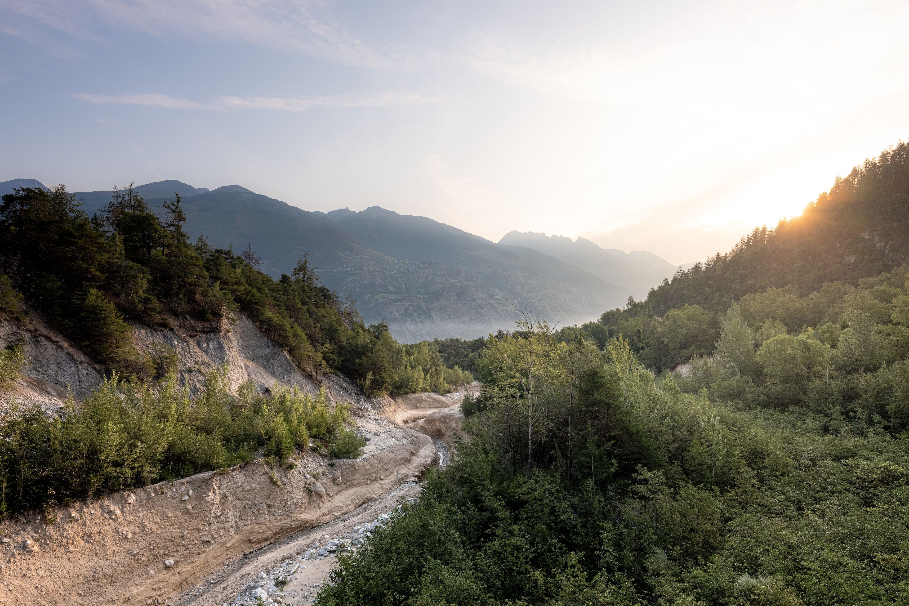 Le Valais est presque un quart couvert de forêts, Valais, Suisse