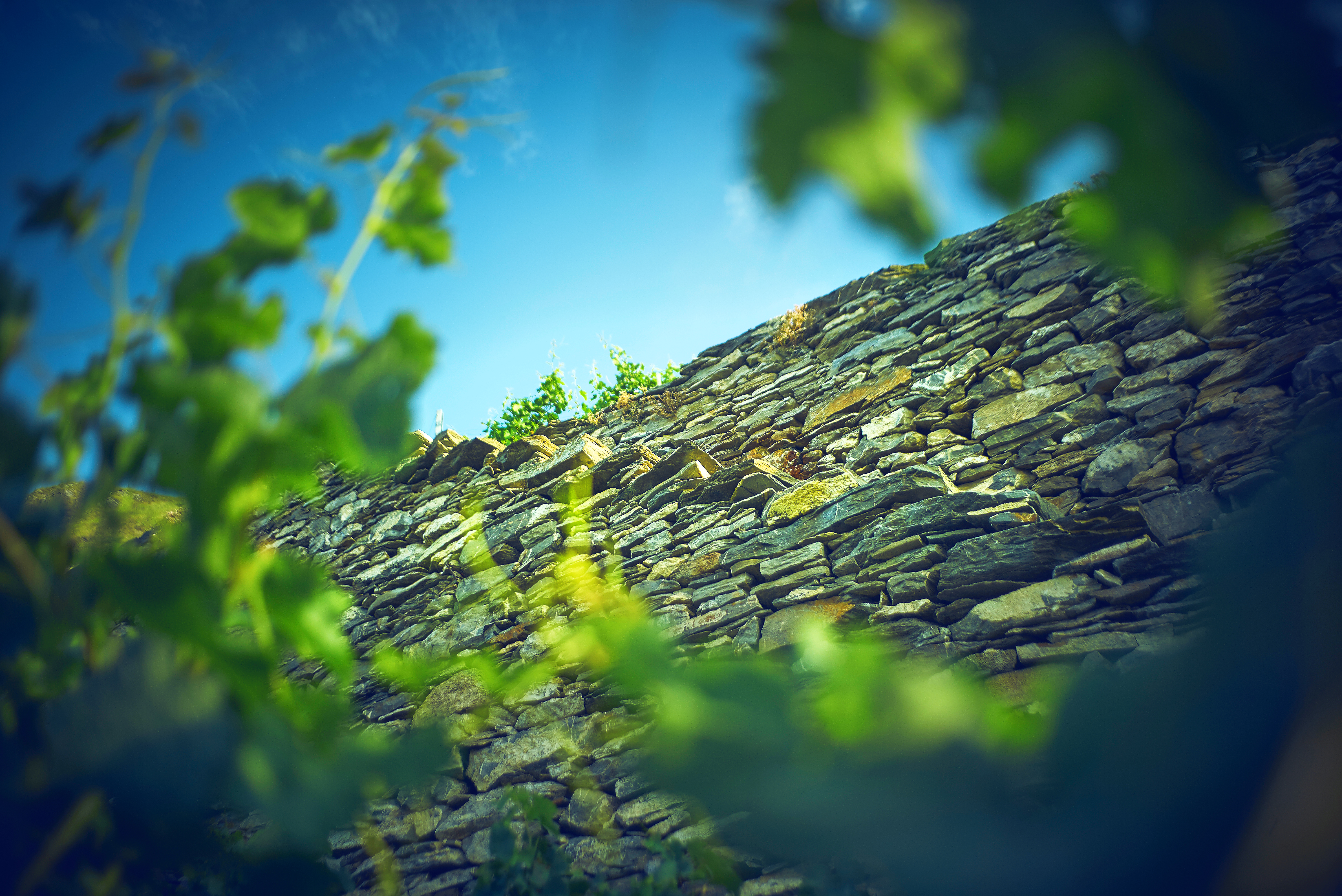 Bisse de Clavau in Sion, Valais