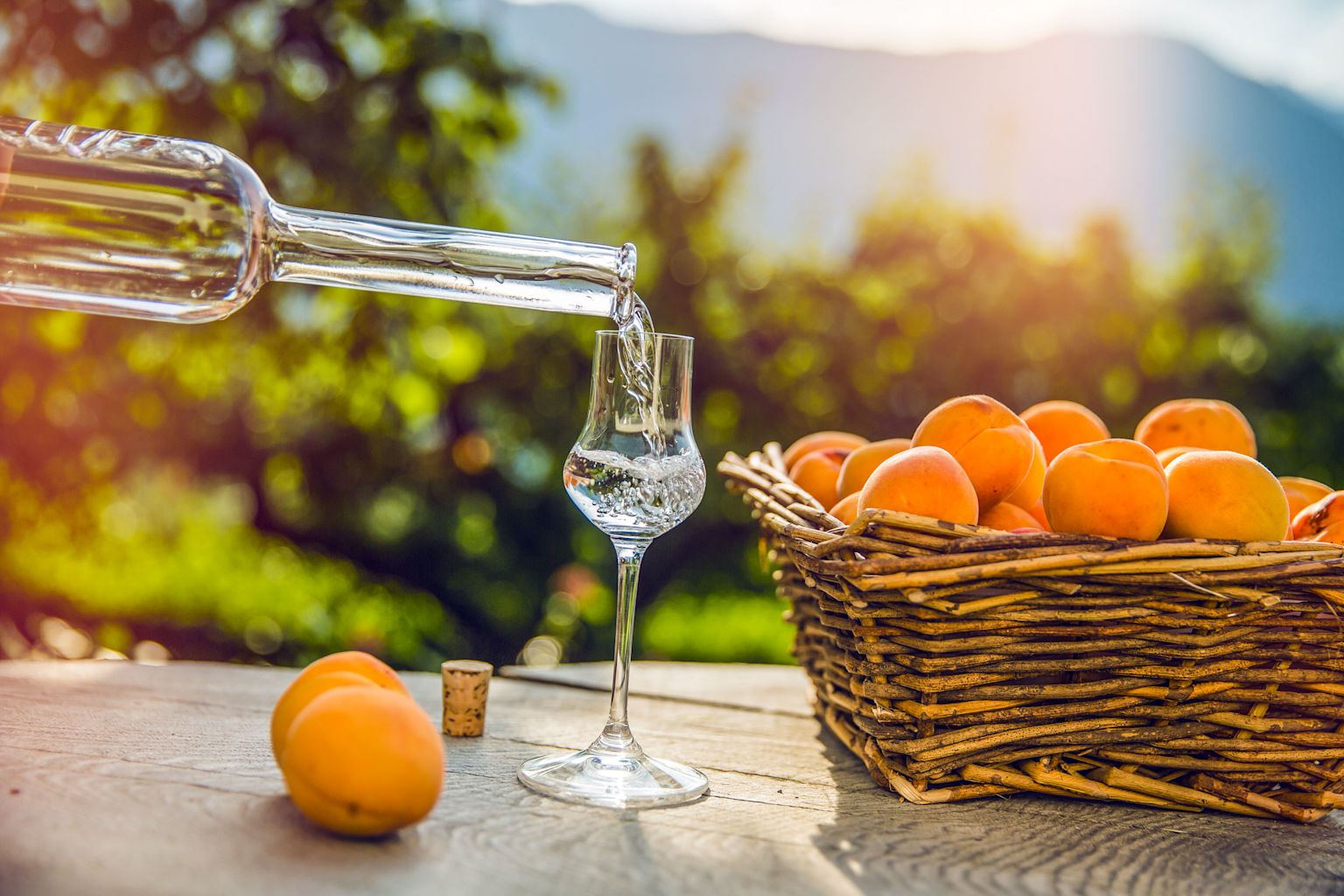 Herstellung von Abricotine AOP
Walliser Aprikosenbrand, Aprikosen, Valais Wallis Schweiz