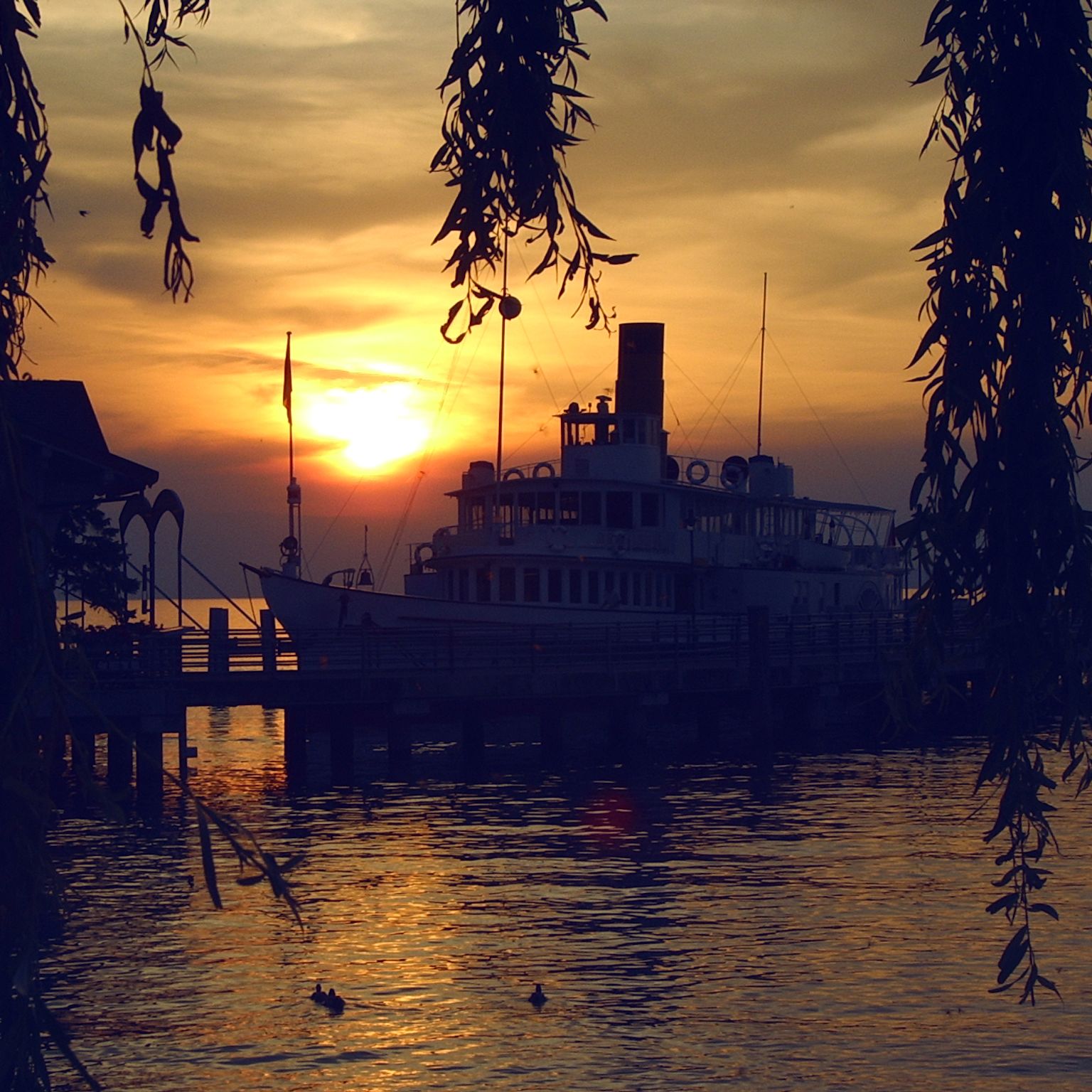 Le Bouveret is a haven for water sports; you can take a spin on a paddleboat or on the 'big banana', go pike-fishing, motor boating (no permit necessary
