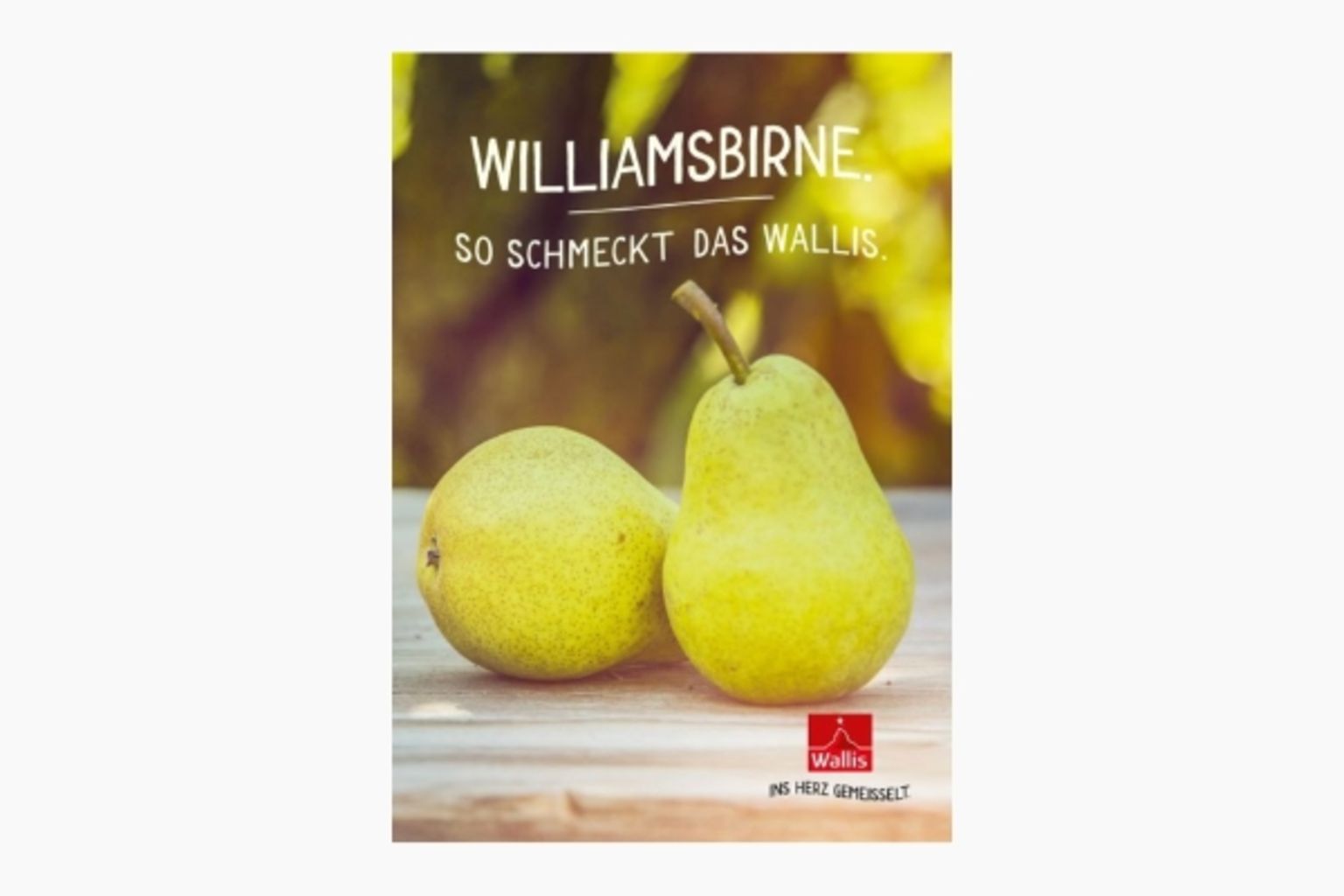 Broschüre Williamsbirne, Williamine, Valais/Wallis Promotion, Schweiz