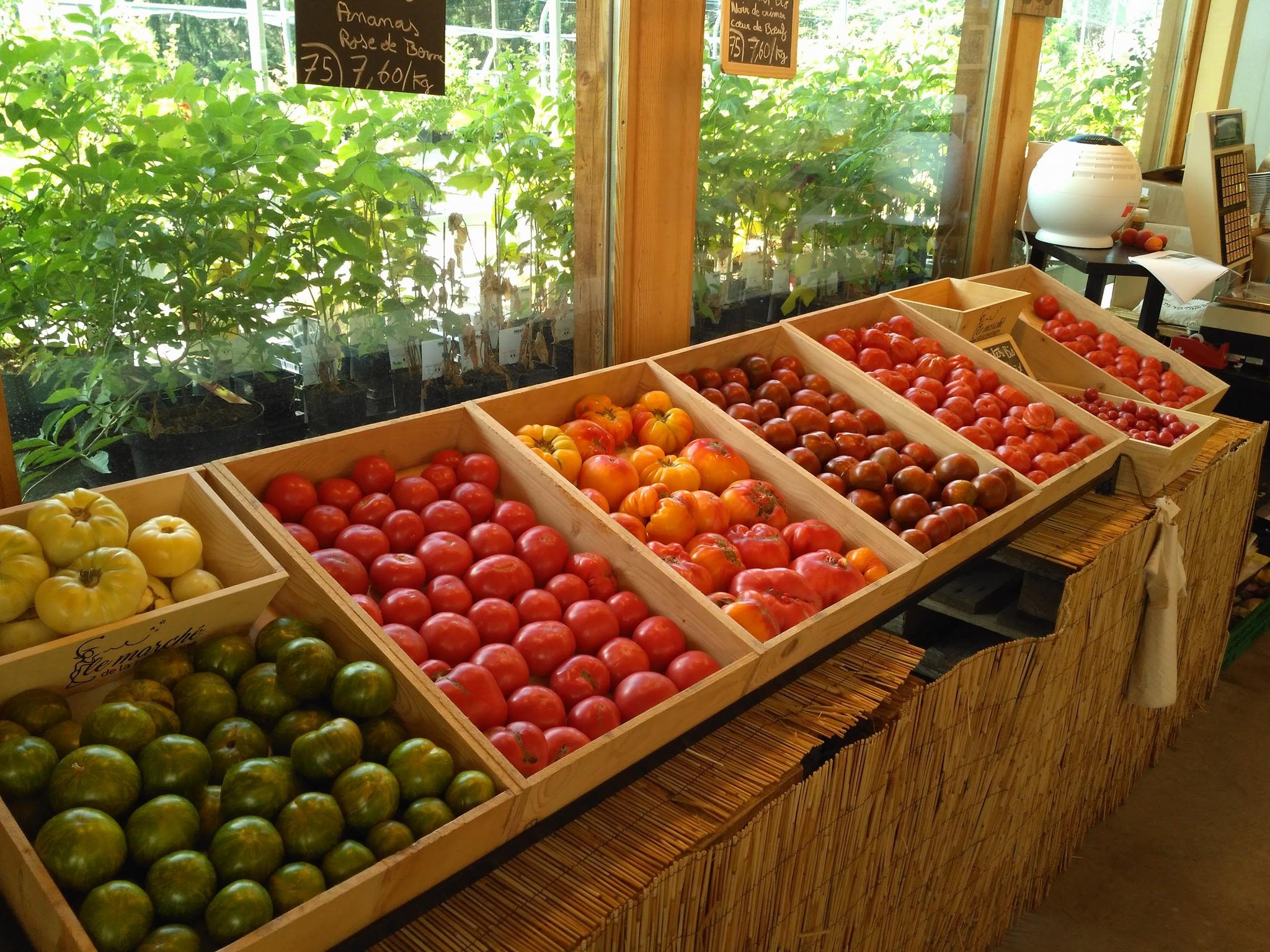 Fruits et légumes bio sont disponibles en vente directe à Saillon. Valais, Suisse