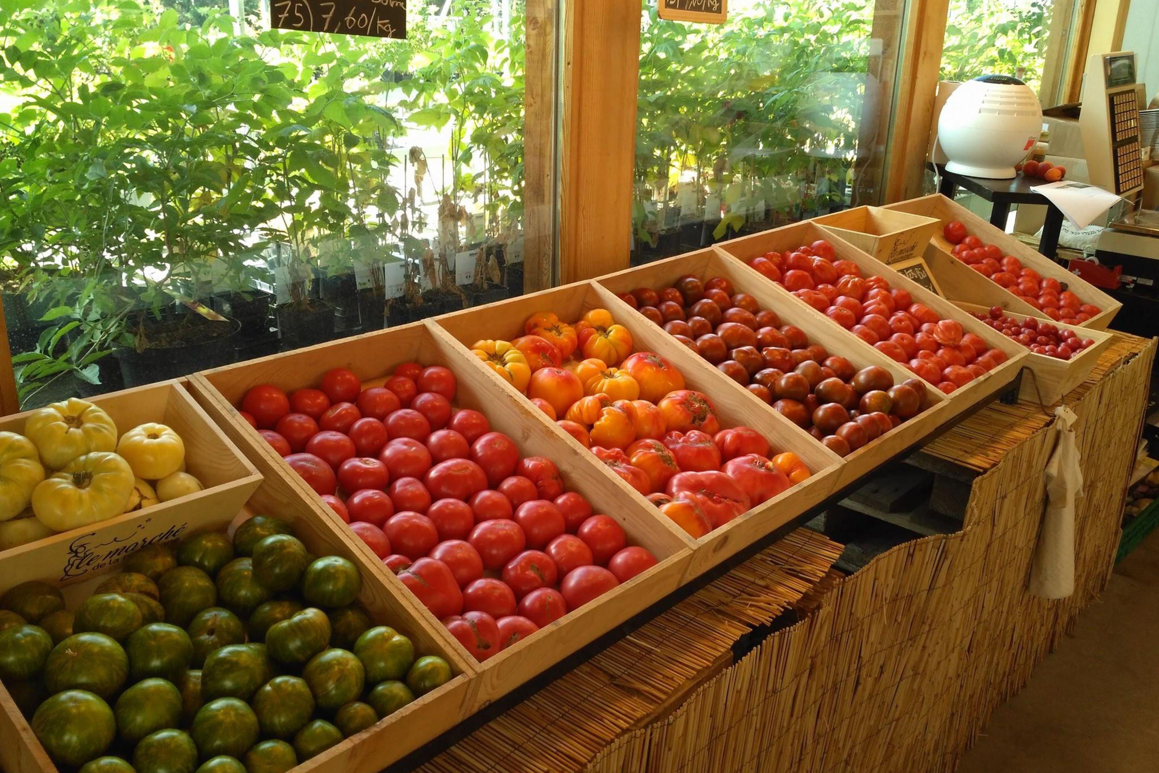 Bio-Obst und -Gemüse sind in Saillon zum Direktverkauf erhältlich. Wallis, Schweiz