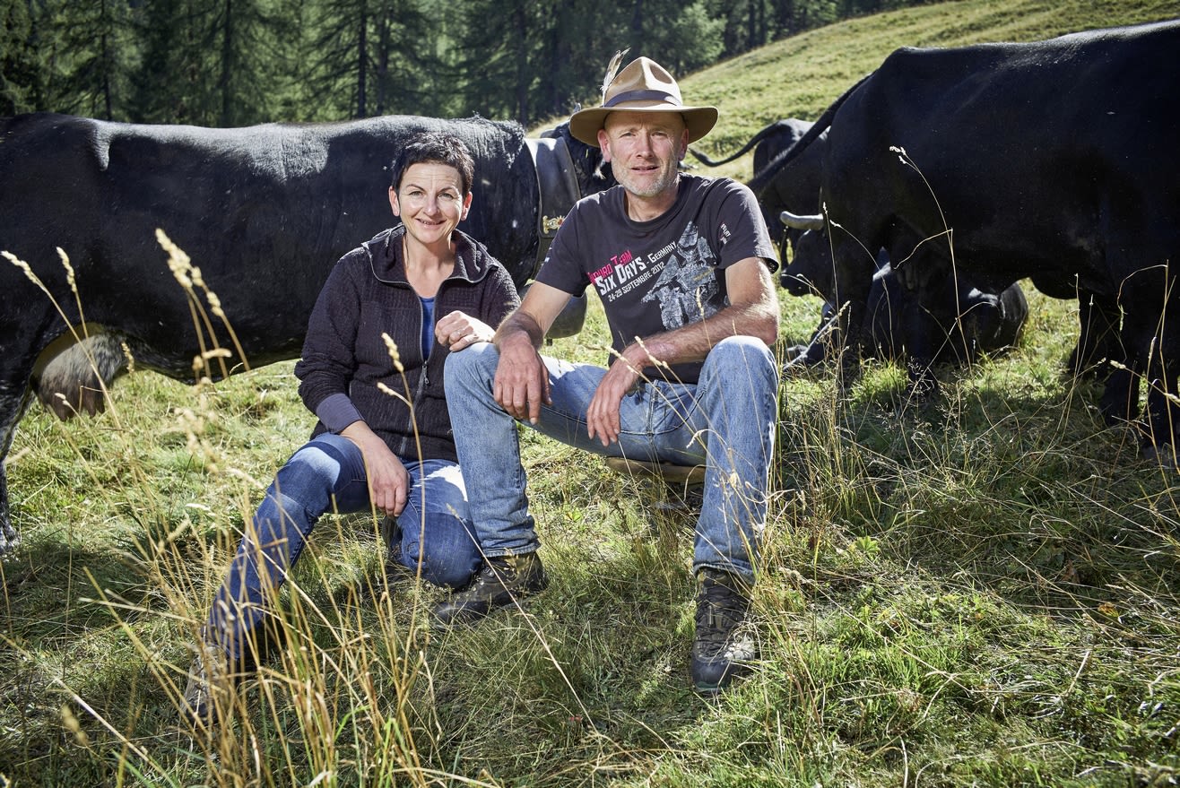 Agricoltori e mucche, Vallese, Svizzera