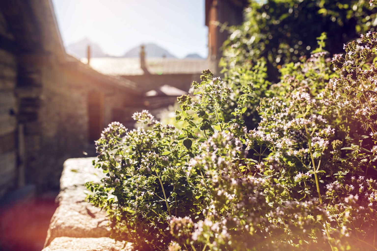 Werke im Dorf Commeire Valais Wallis Schweiz Suisse
