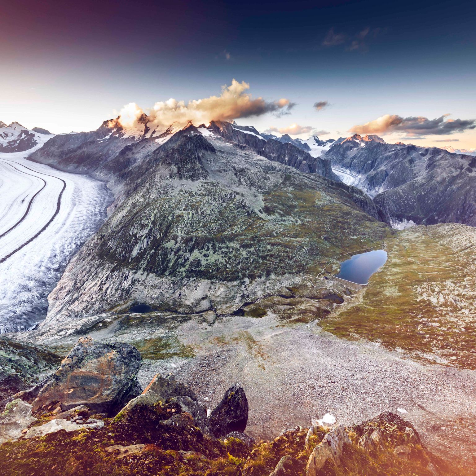 The Great Aletsch Glacier in summer