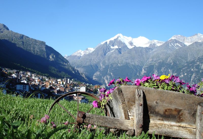 Grächen village in summer, Valais, Switzerland