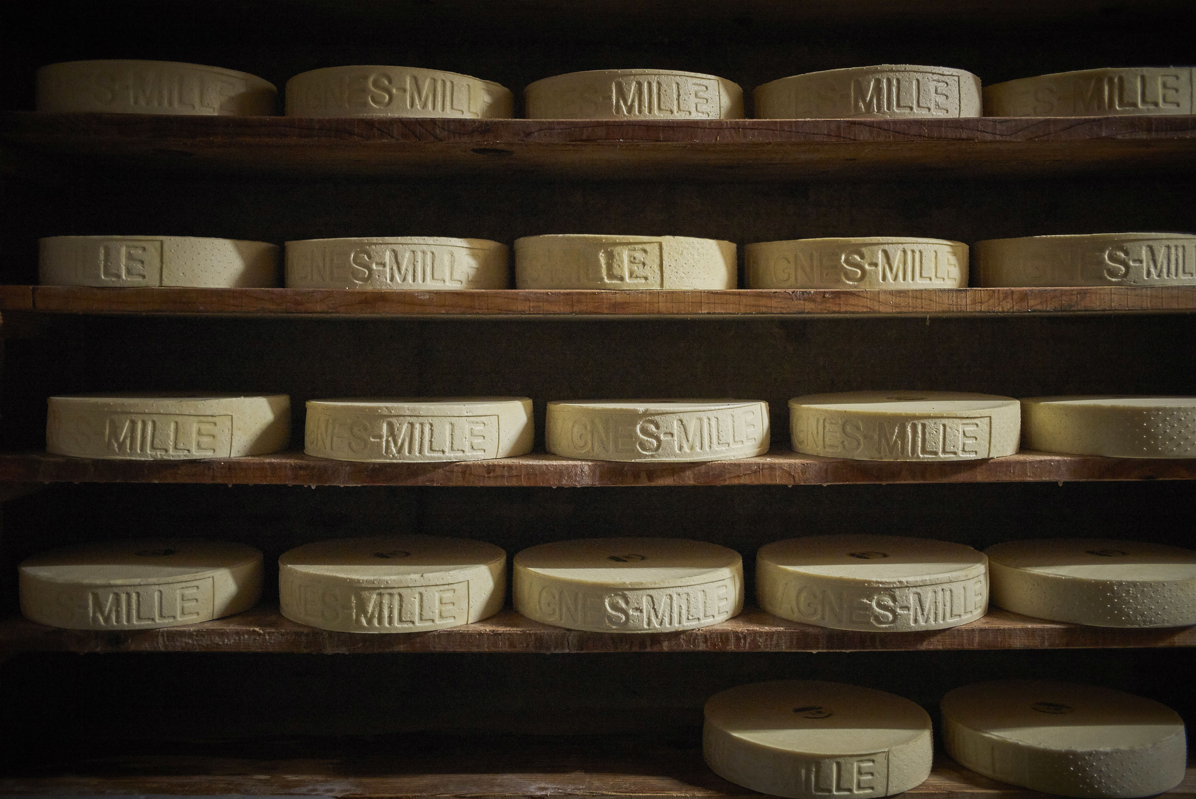 Meules de fromage à raclette, Valais, Suisse