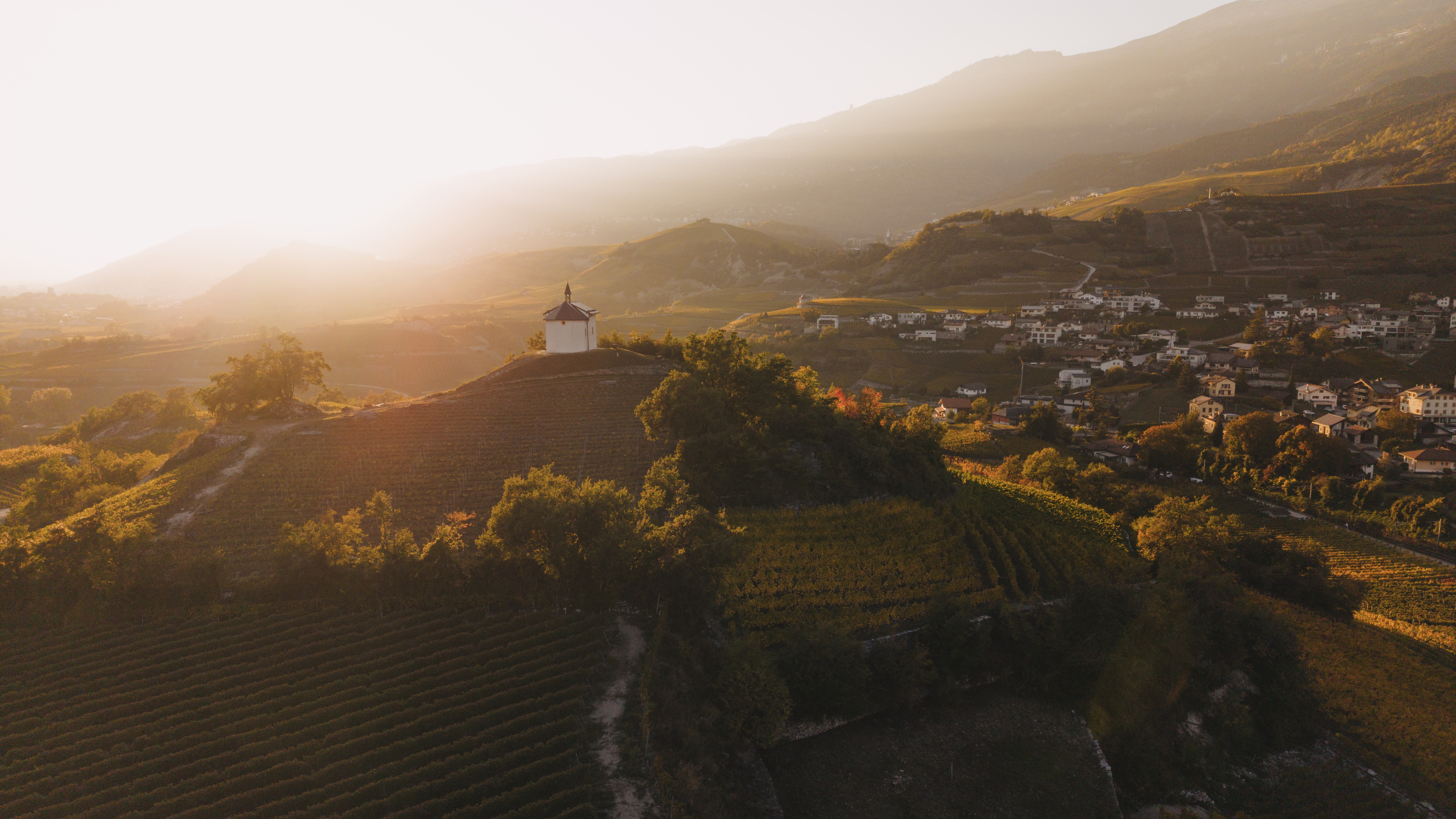 Chapelle au cœur des vignobles en terrasses de Salquenen dans la lumière du soir, Valais, Suisse