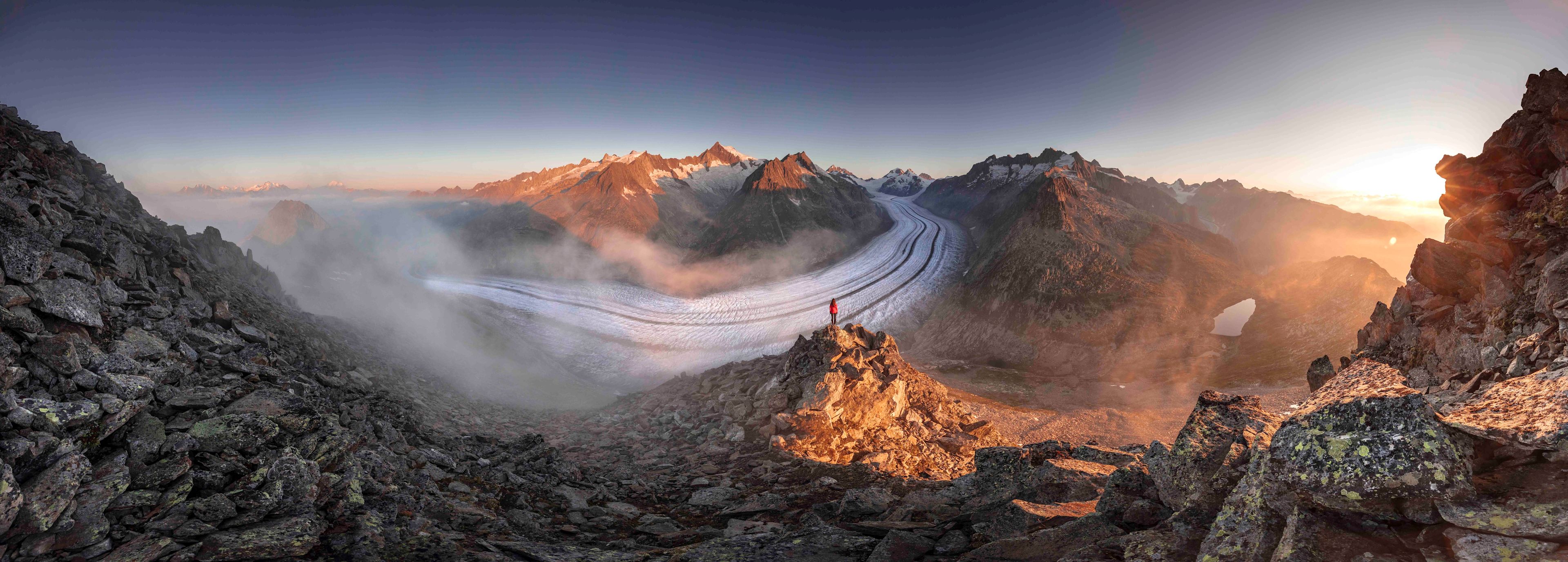 Grosser Aletschgletscher und Eggishorn, Aletsch Arena, Wallis, Schweiz
