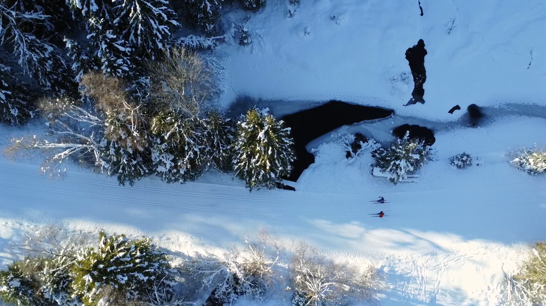 Cross-country ski trail in the forest