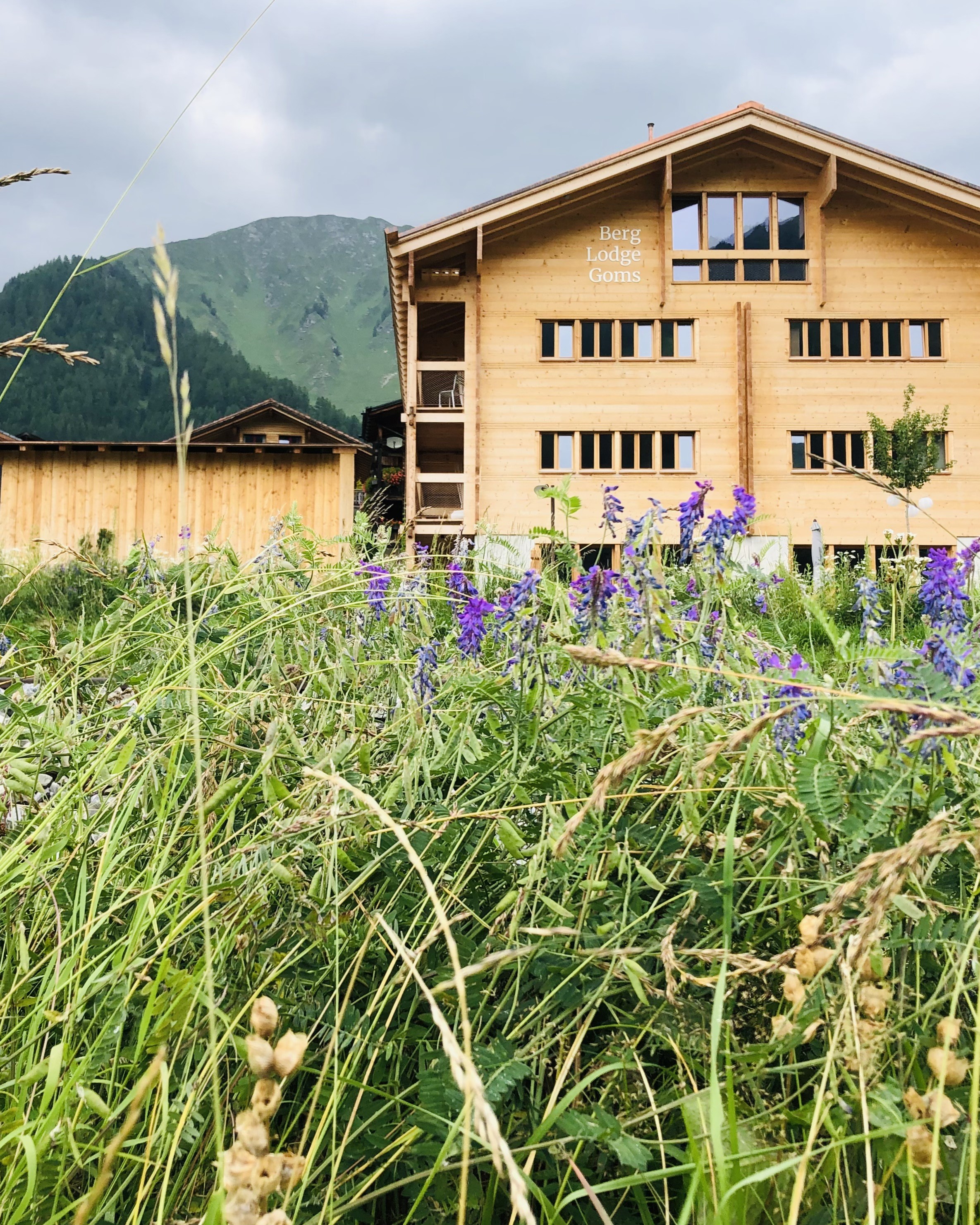 Holzgebäude der Berglodge Goms in Münster mit blühender Bergwiese im Vordergrund