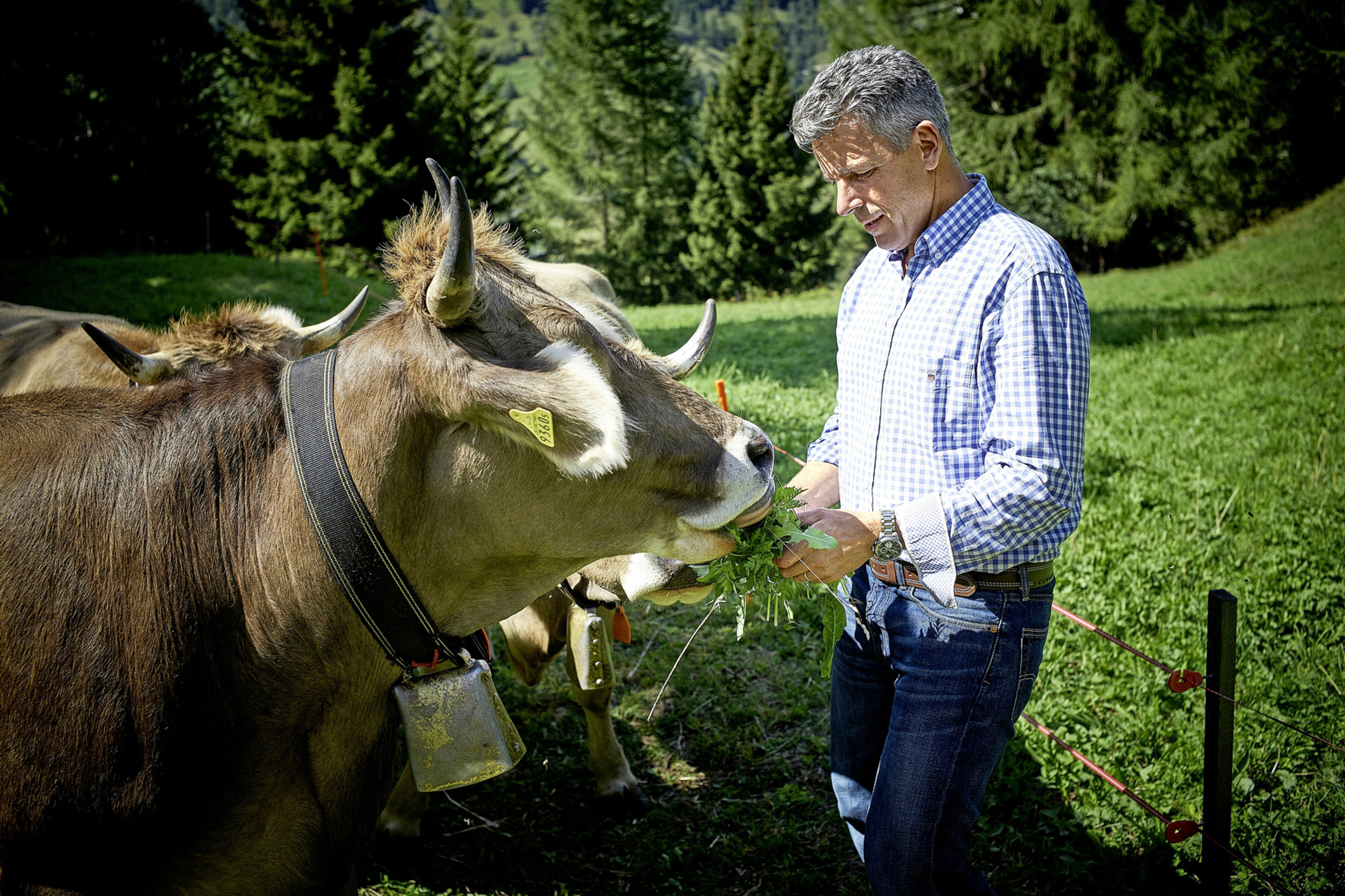 Story Peter Gschwendtner Valais Wallis