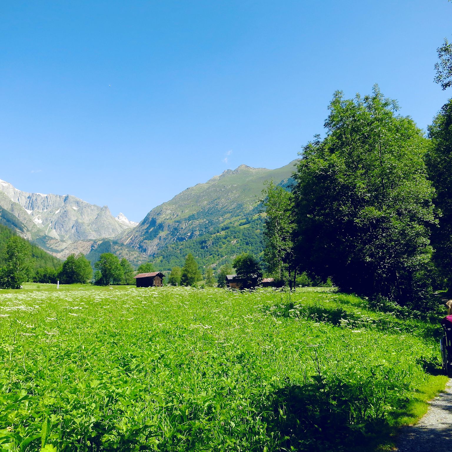 Chemins sans obstacles, été, Valais