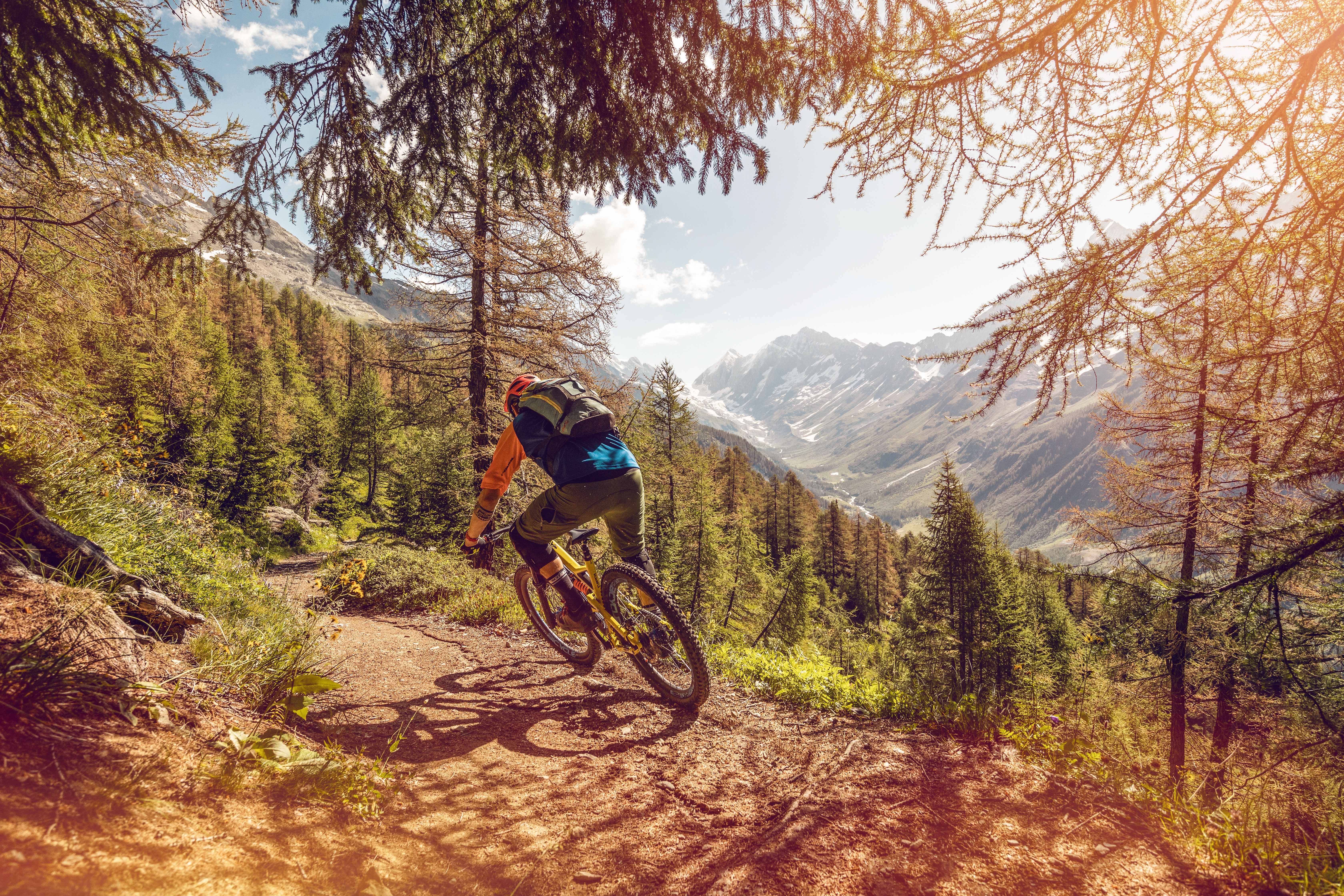 Moutainbike Loetschental, Wallis, Schweiz